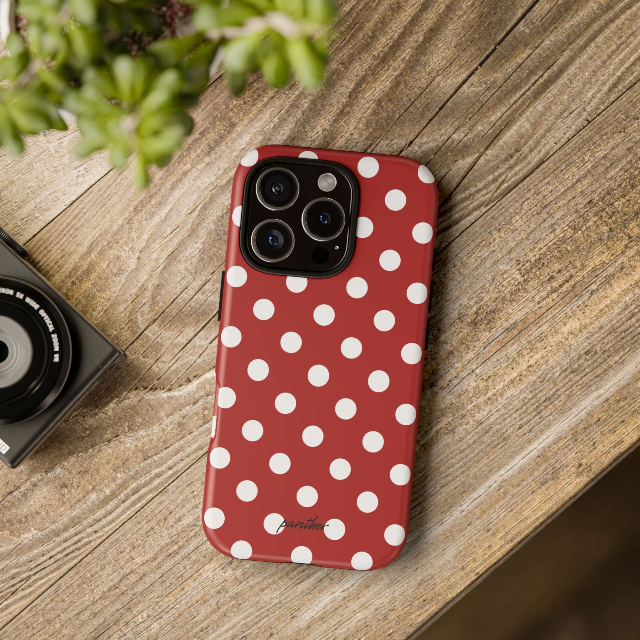 Ladybug V4