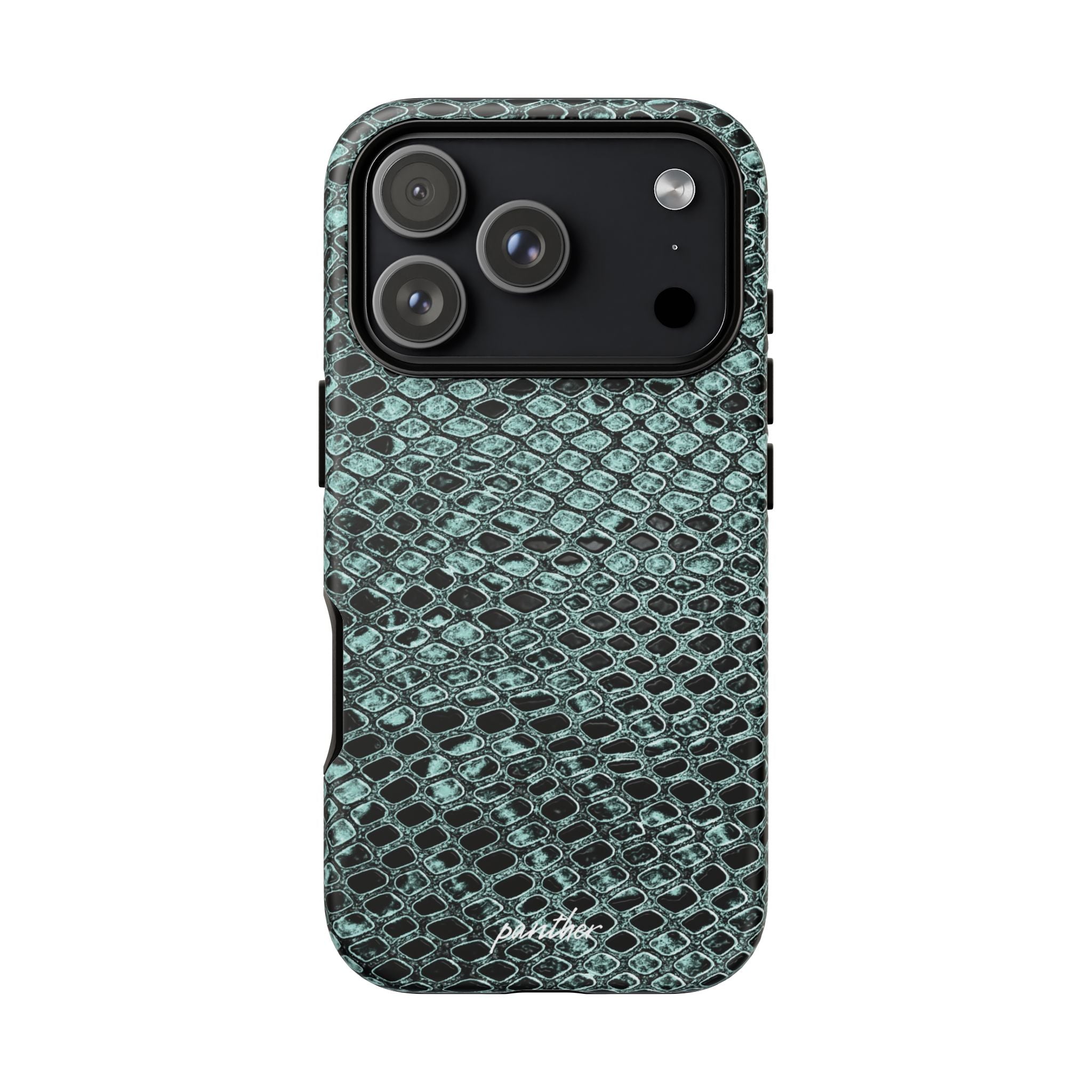 Python