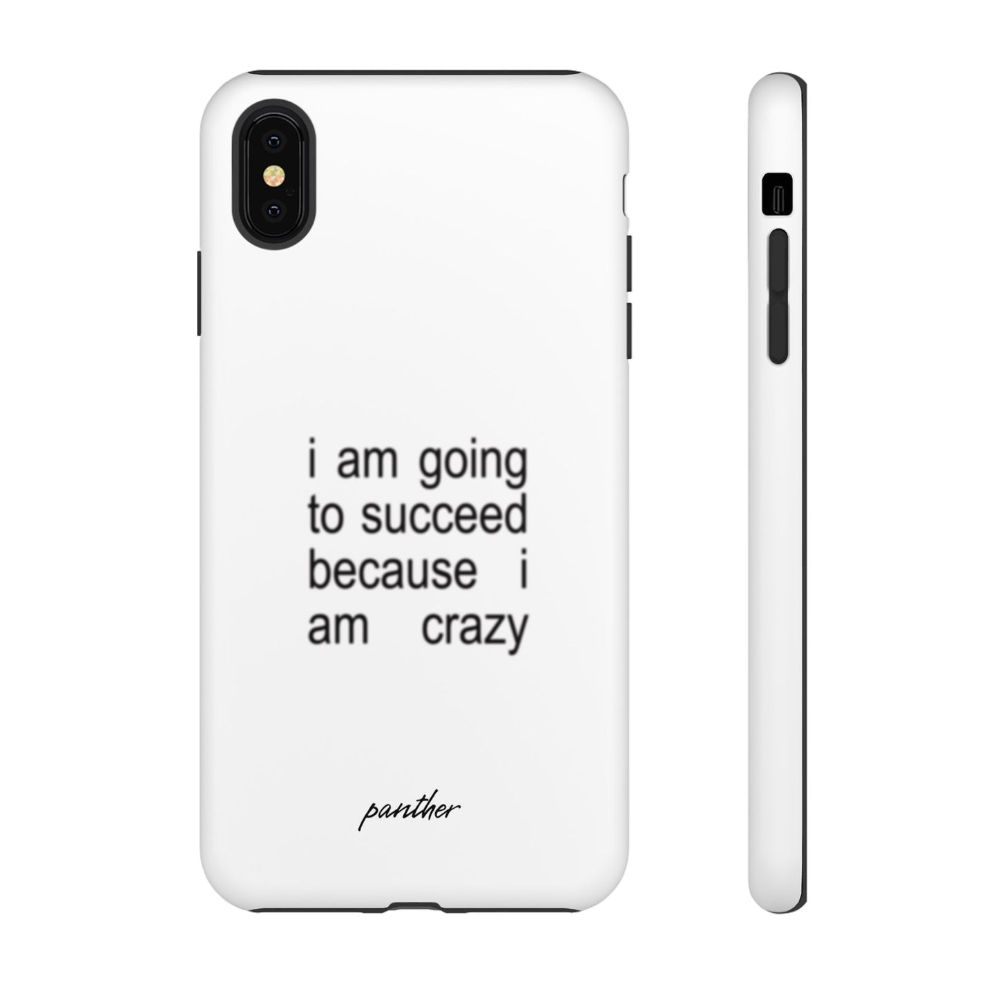I Am Going To Succeed Because I Am Crazy