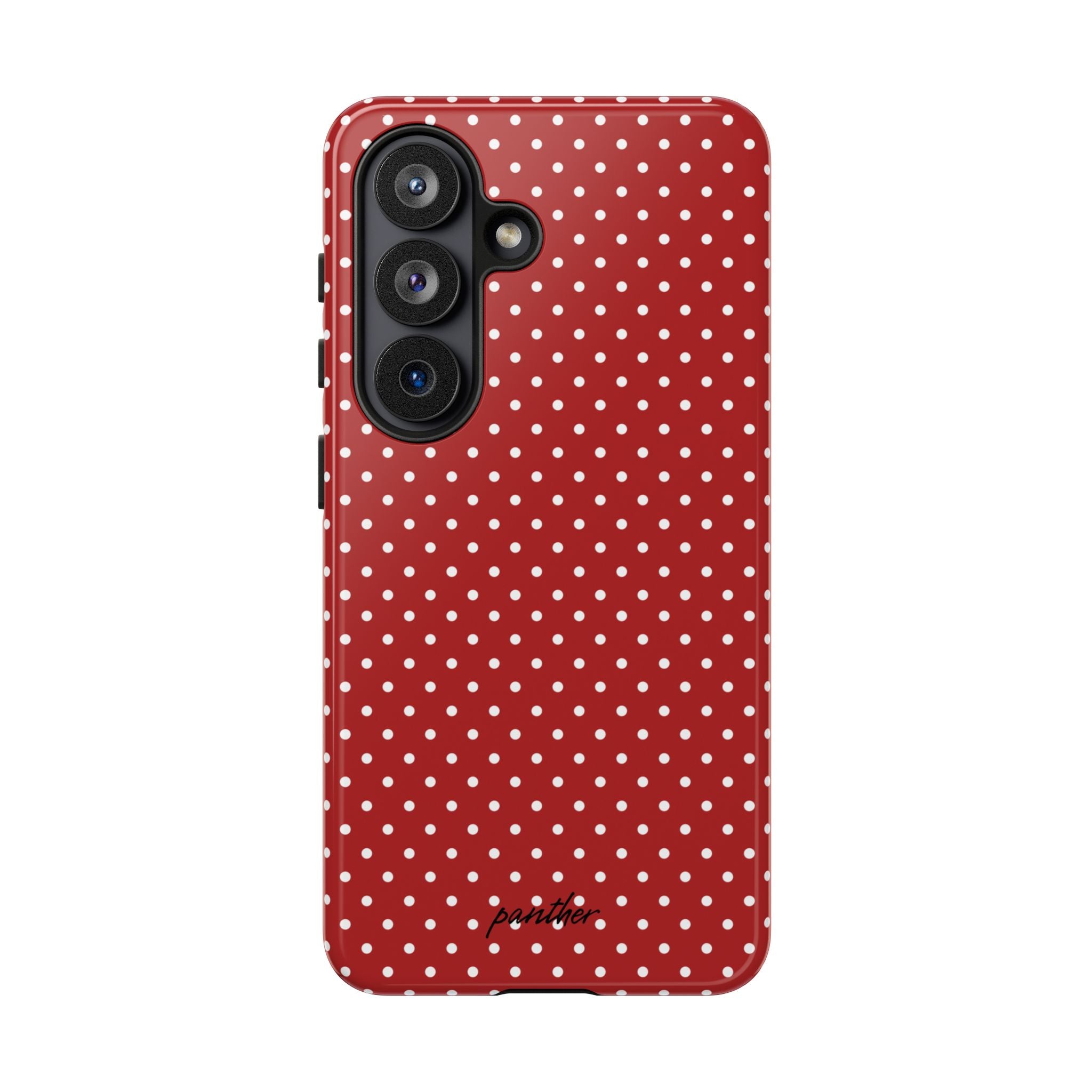 Ladybug V3