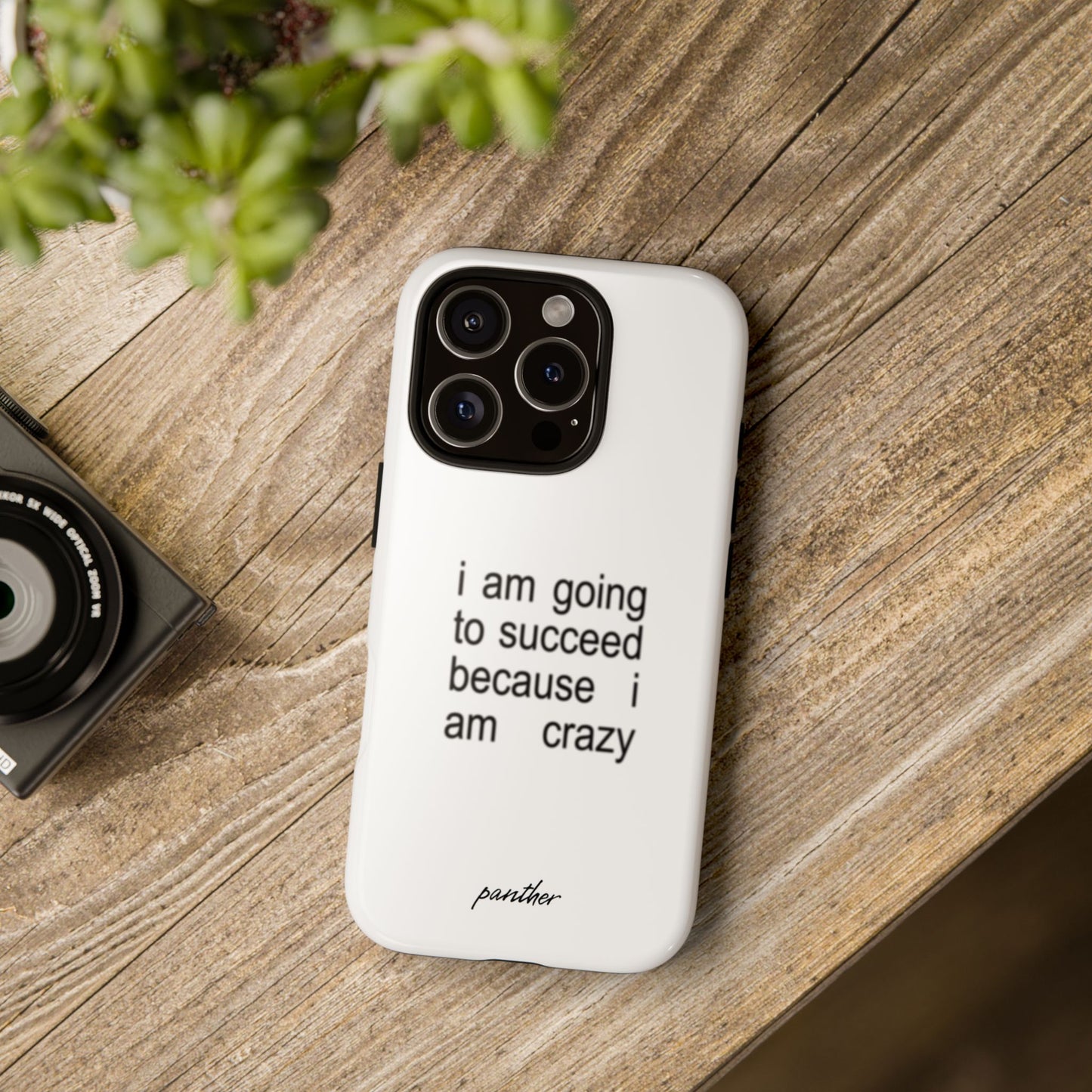 I Am Going To Succeed Because I Am Crazy