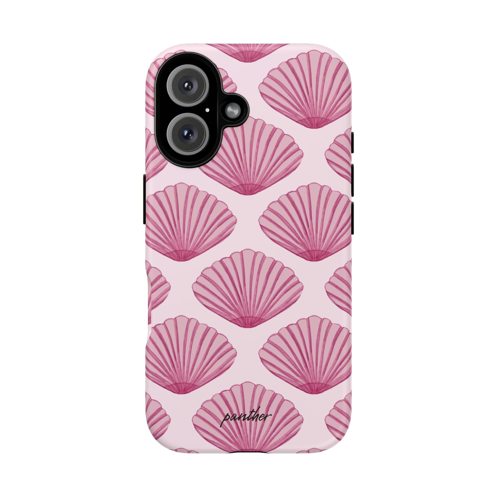 Coastal Shells