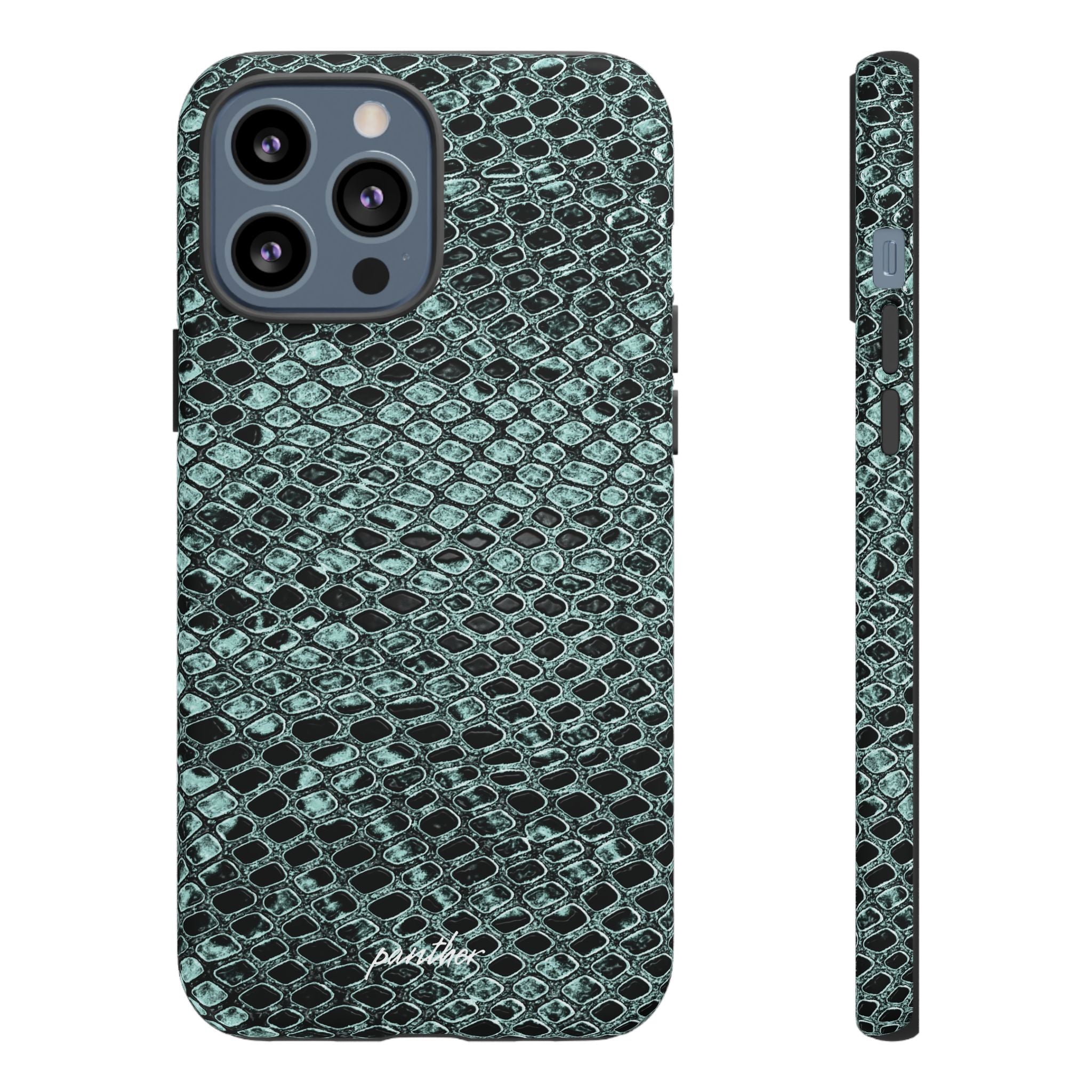 Python