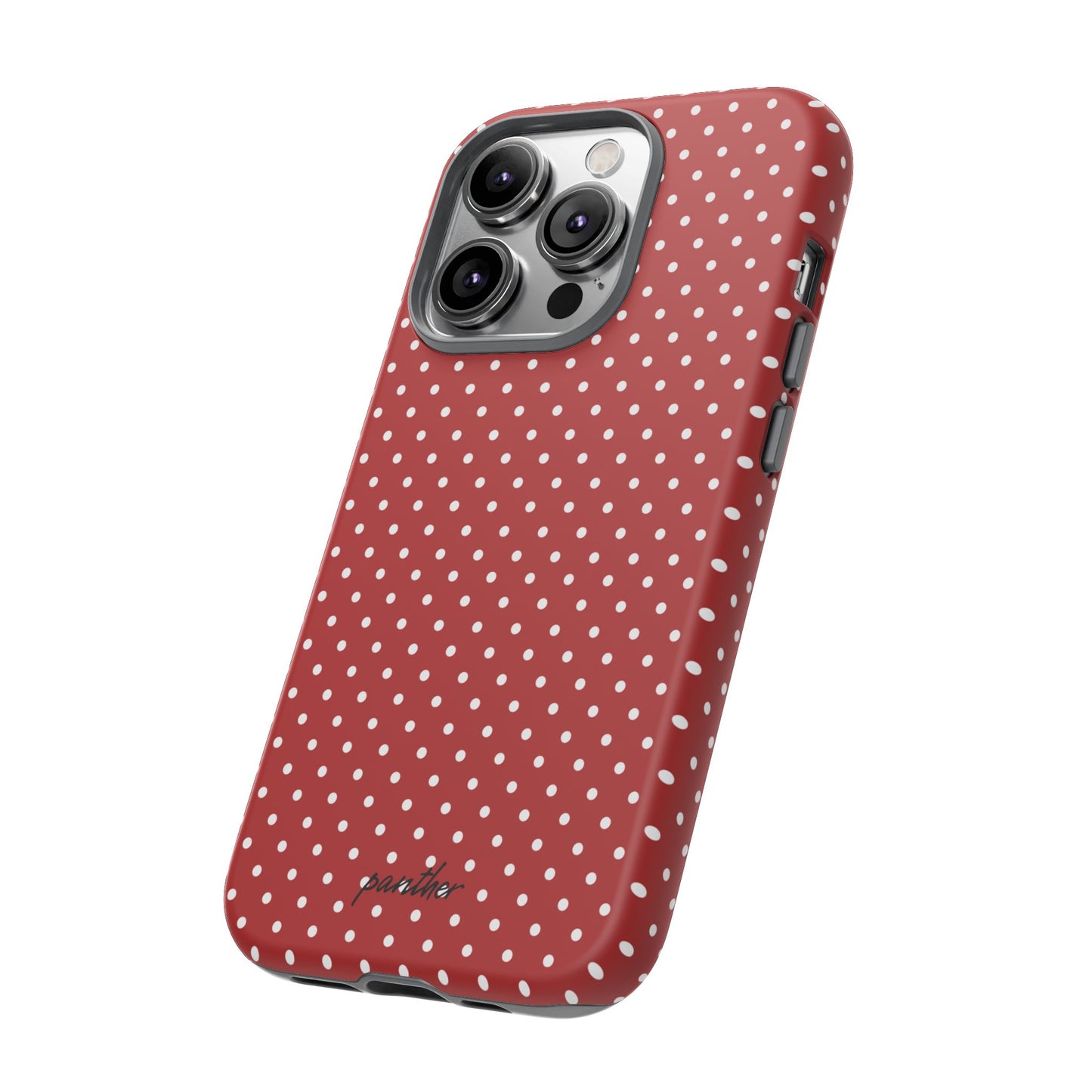 Ladybug V3