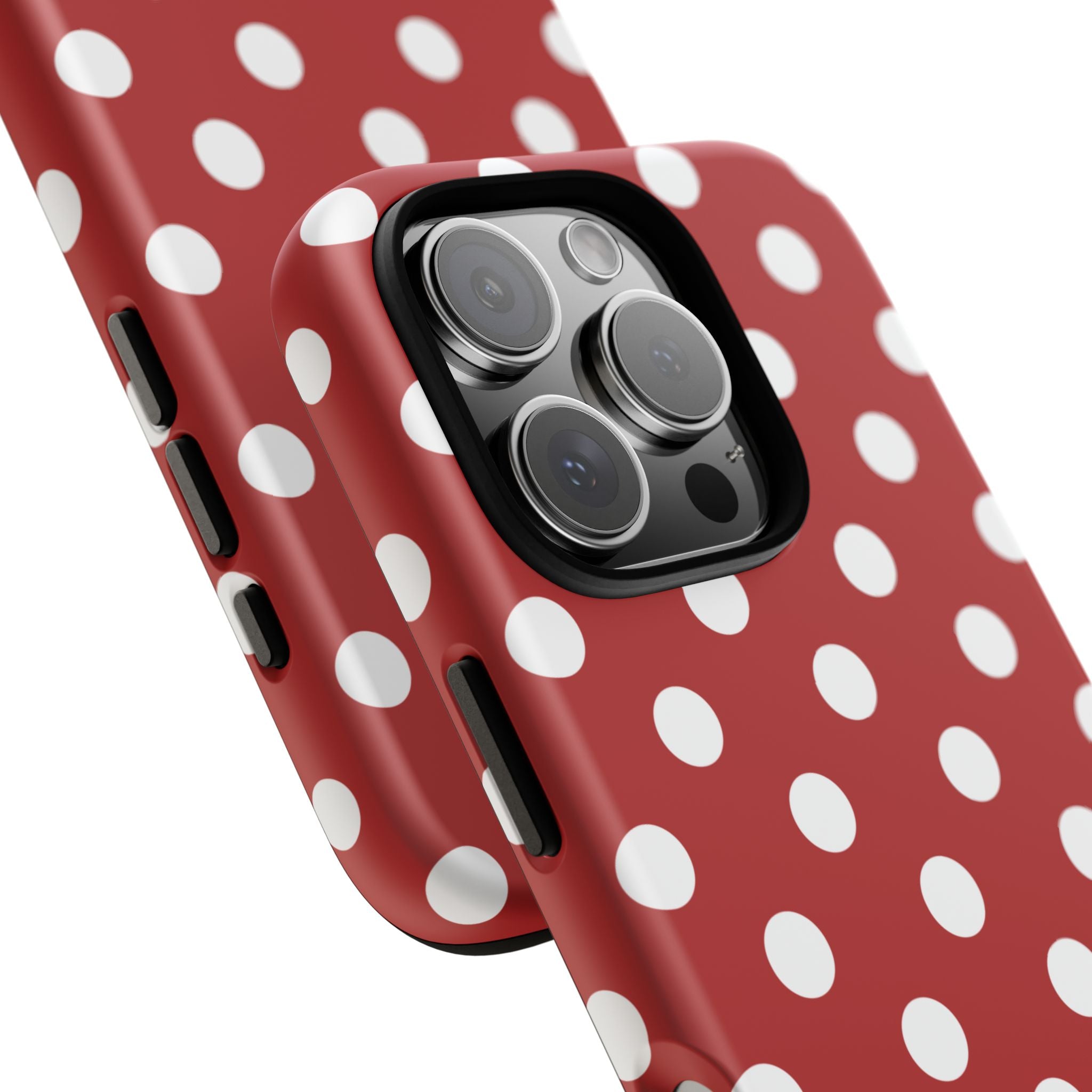 Ladybug V4