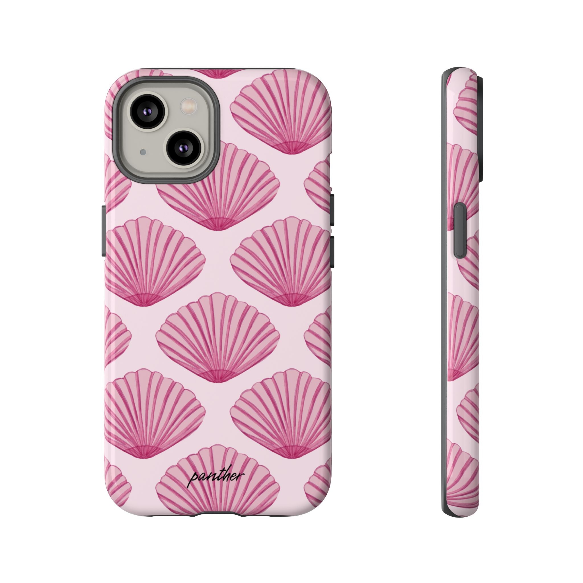 Coastal Shells