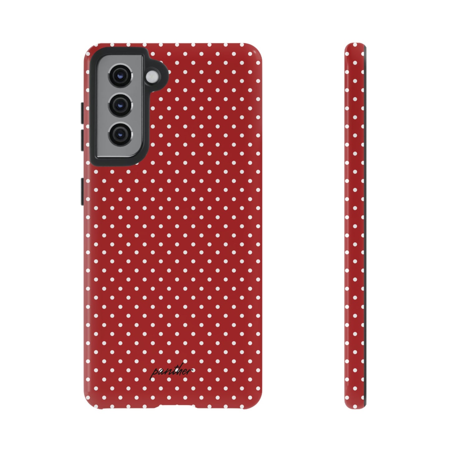 Ladybug V3