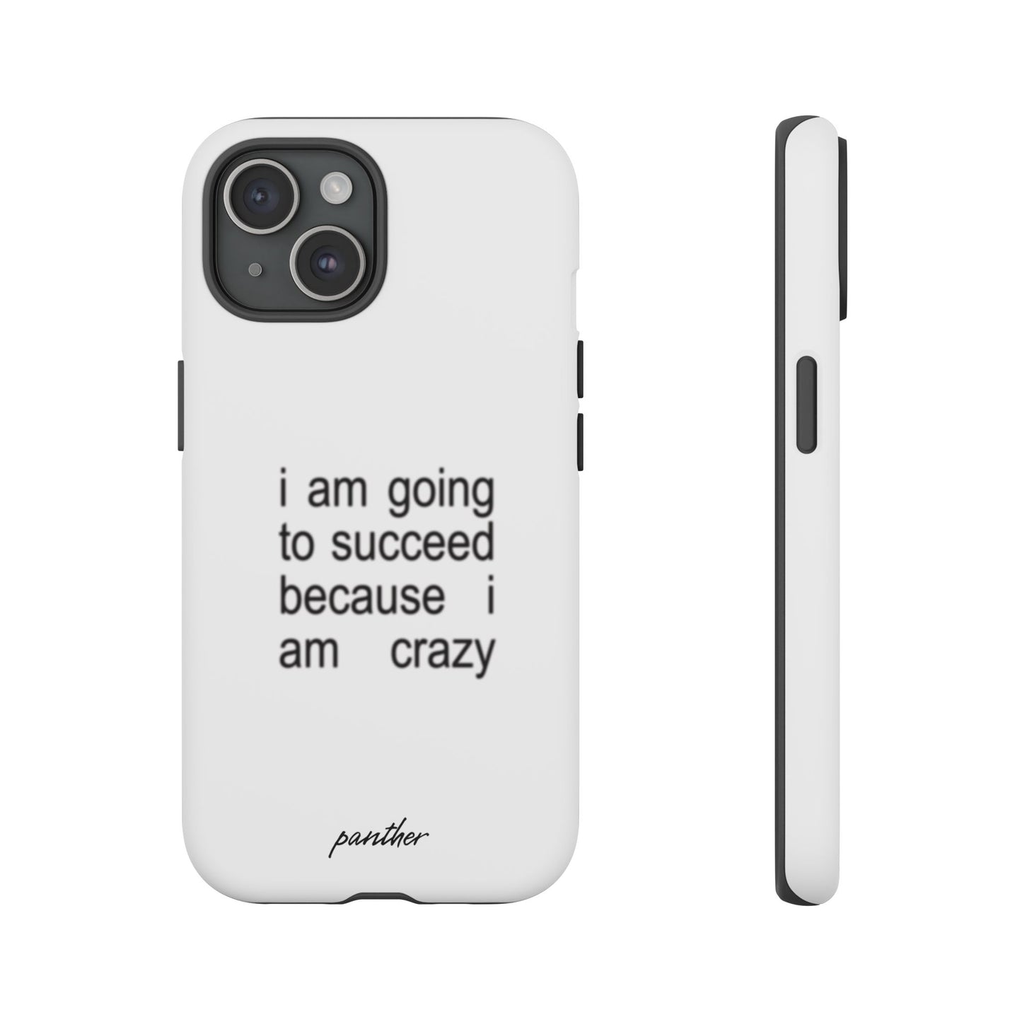I Am Going To Succeed Because I Am Crazy