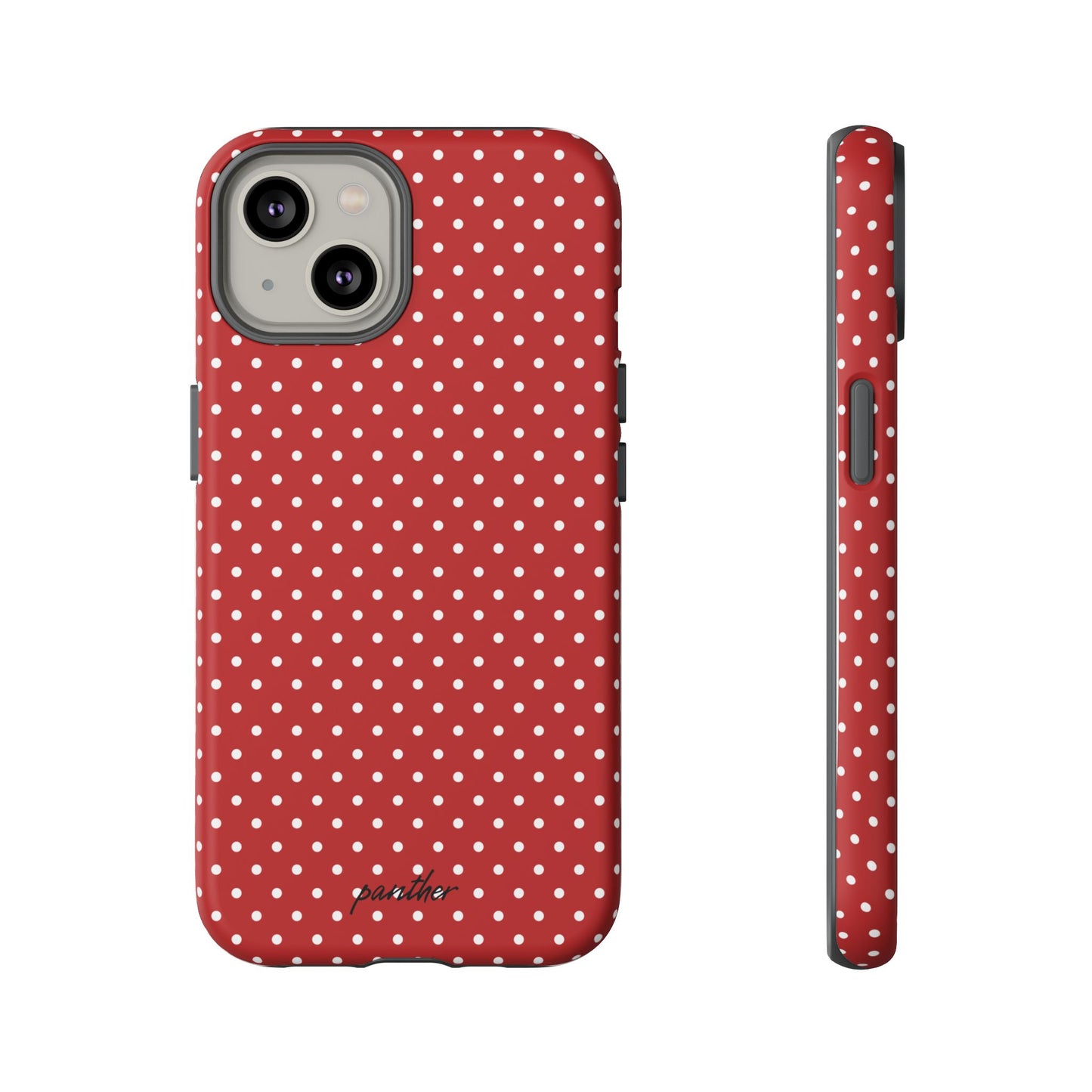 Ladybug V3