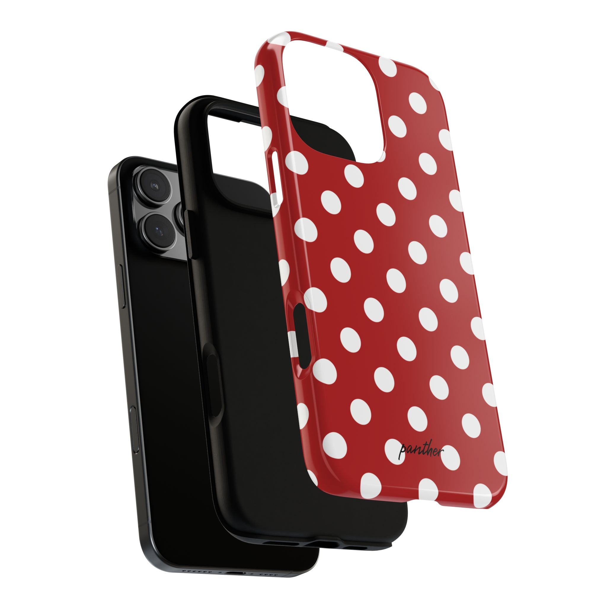 Ladybug V4