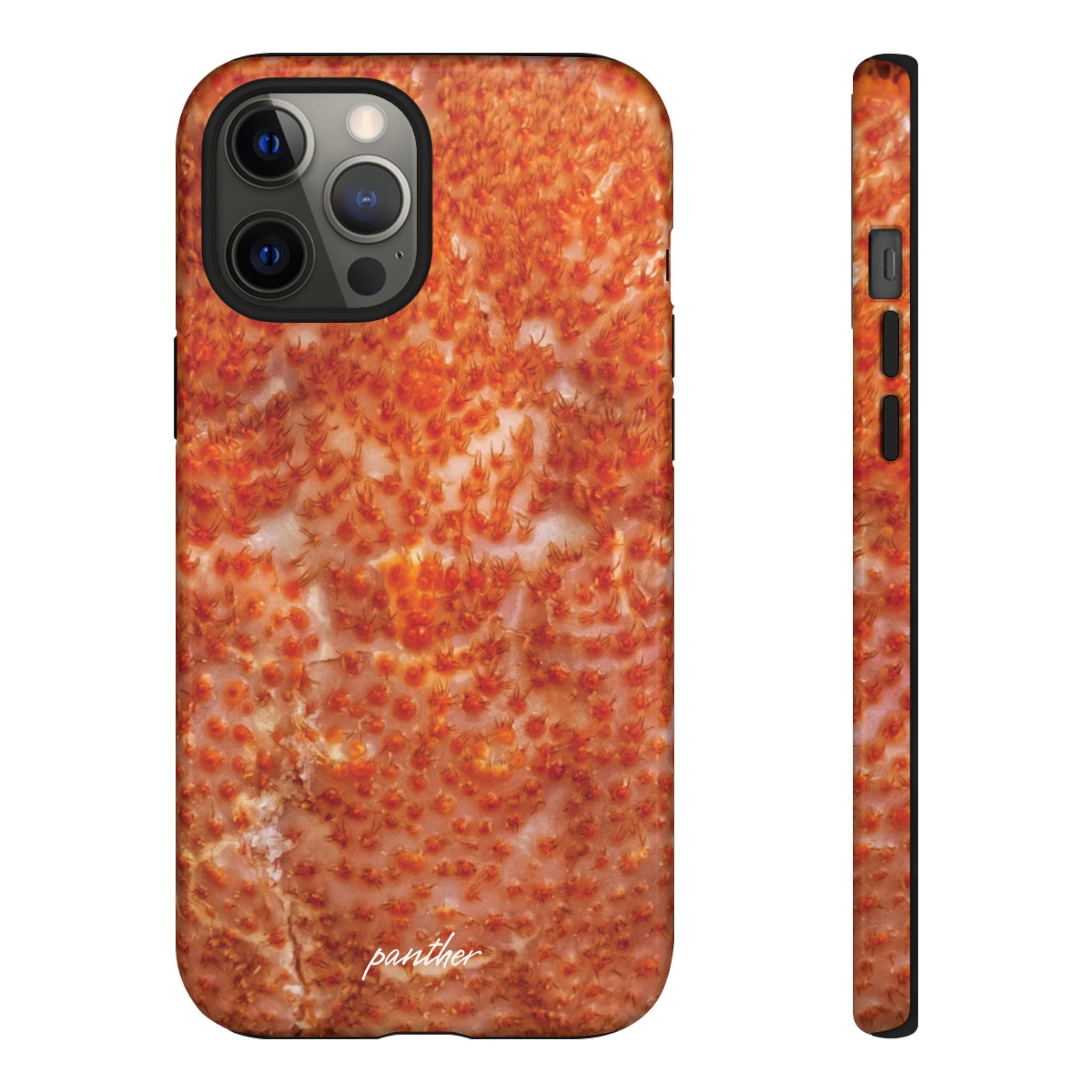 Reef