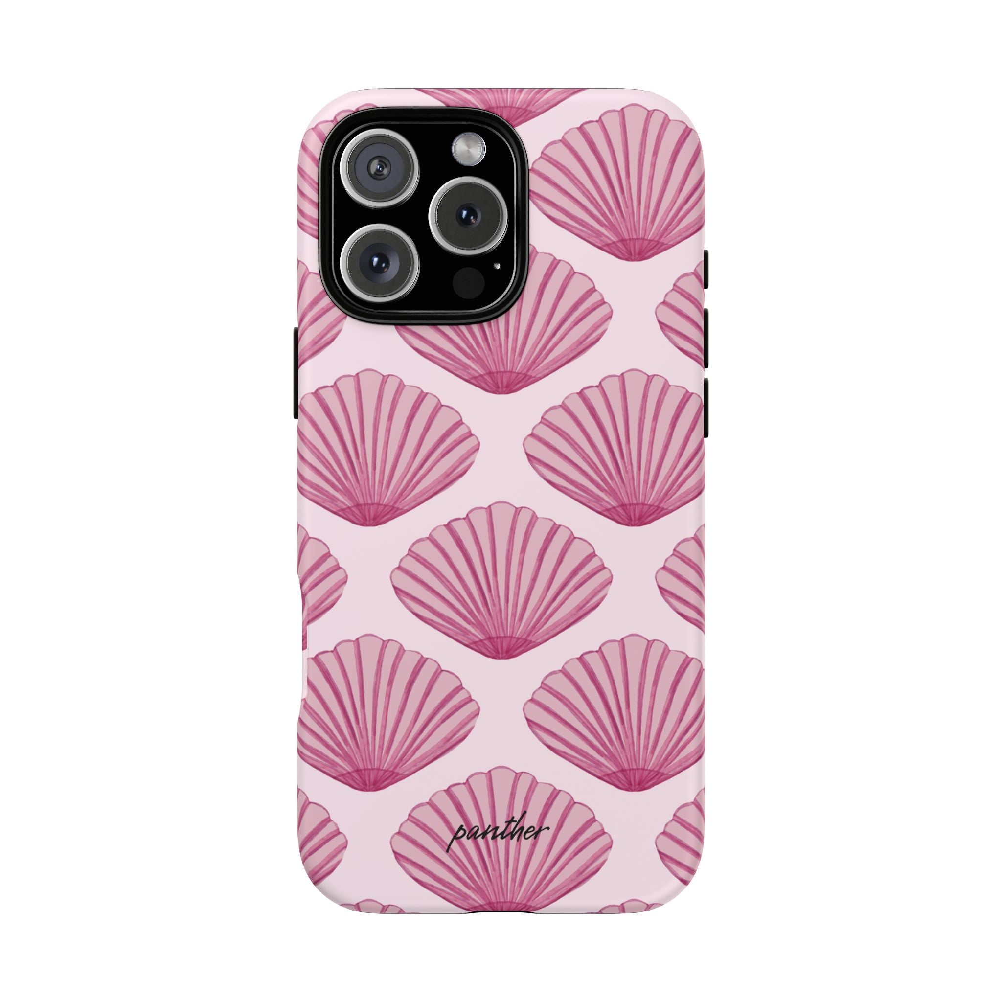 Coastal Shells