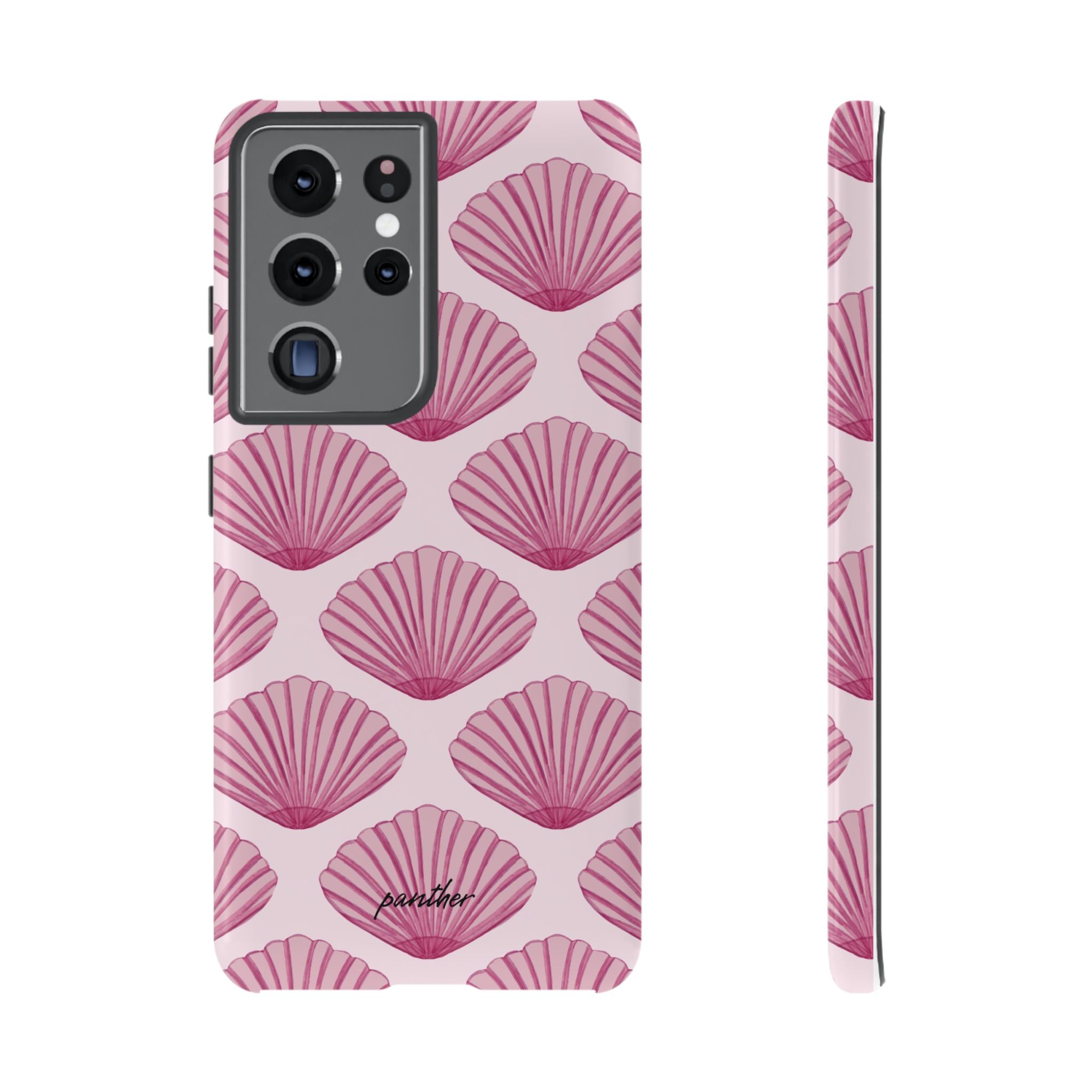 Coastal Shells