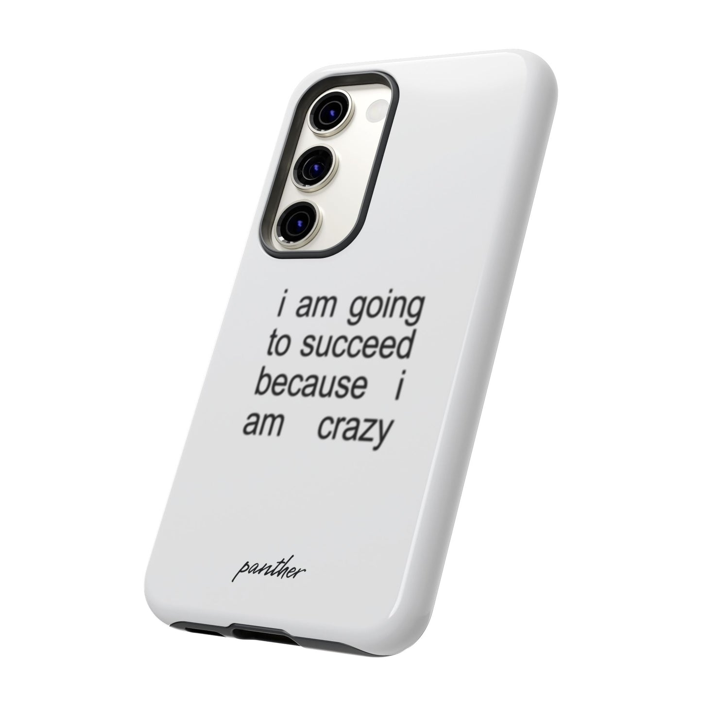 I Am Going To Succeed Because I Am Crazy