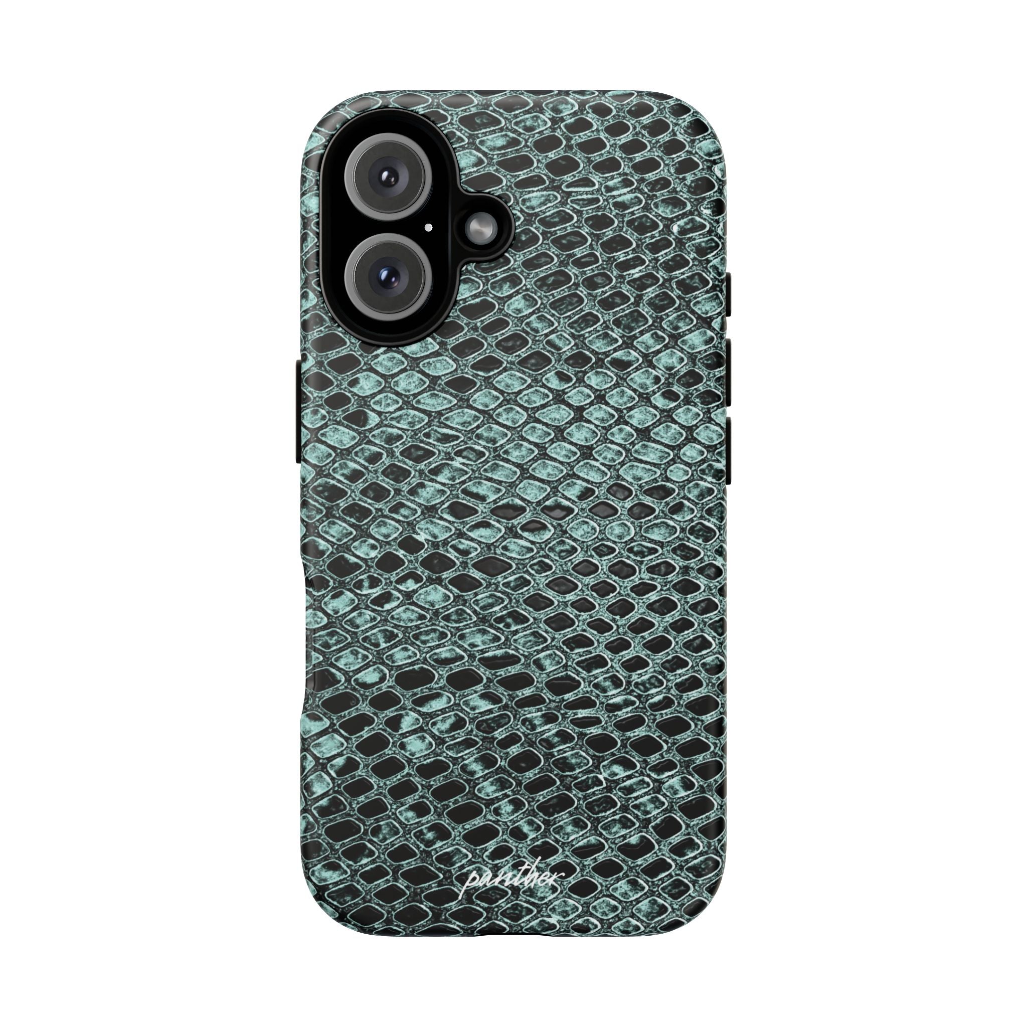Python