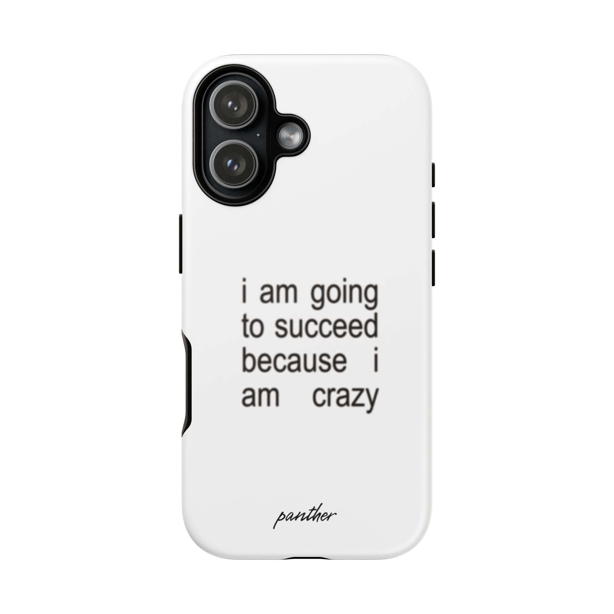 I Am Going To Succeed Because I Am Crazy