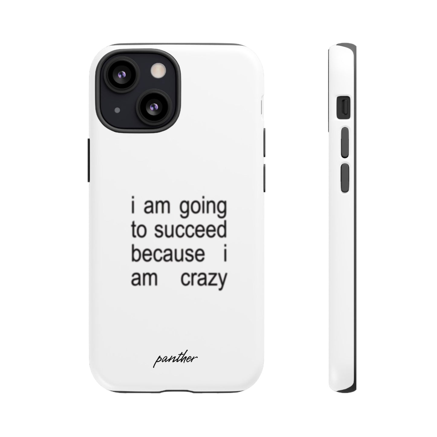 I Am Going To Succeed Because I Am Crazy