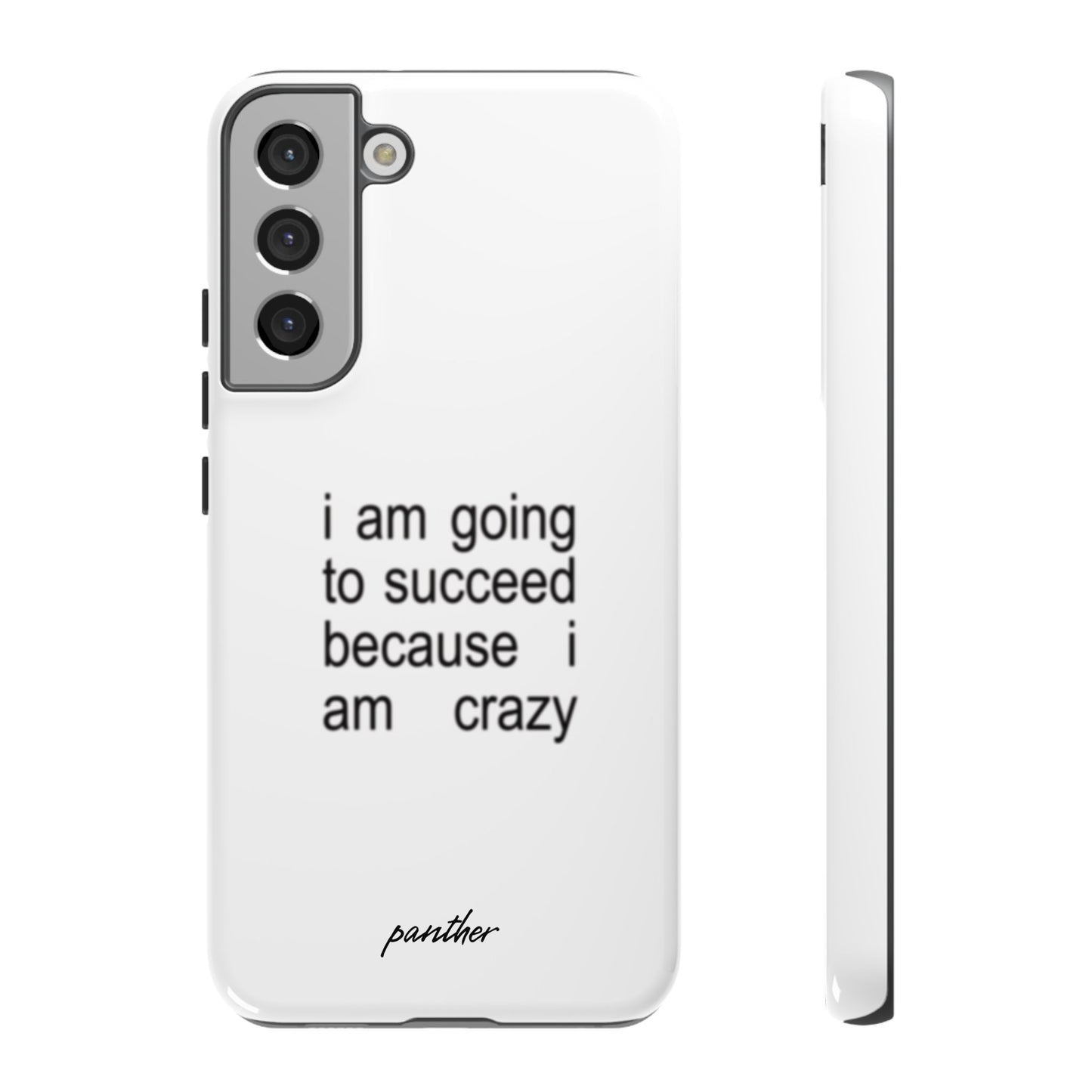 I Am Going To Succeed Because I Am Crazy