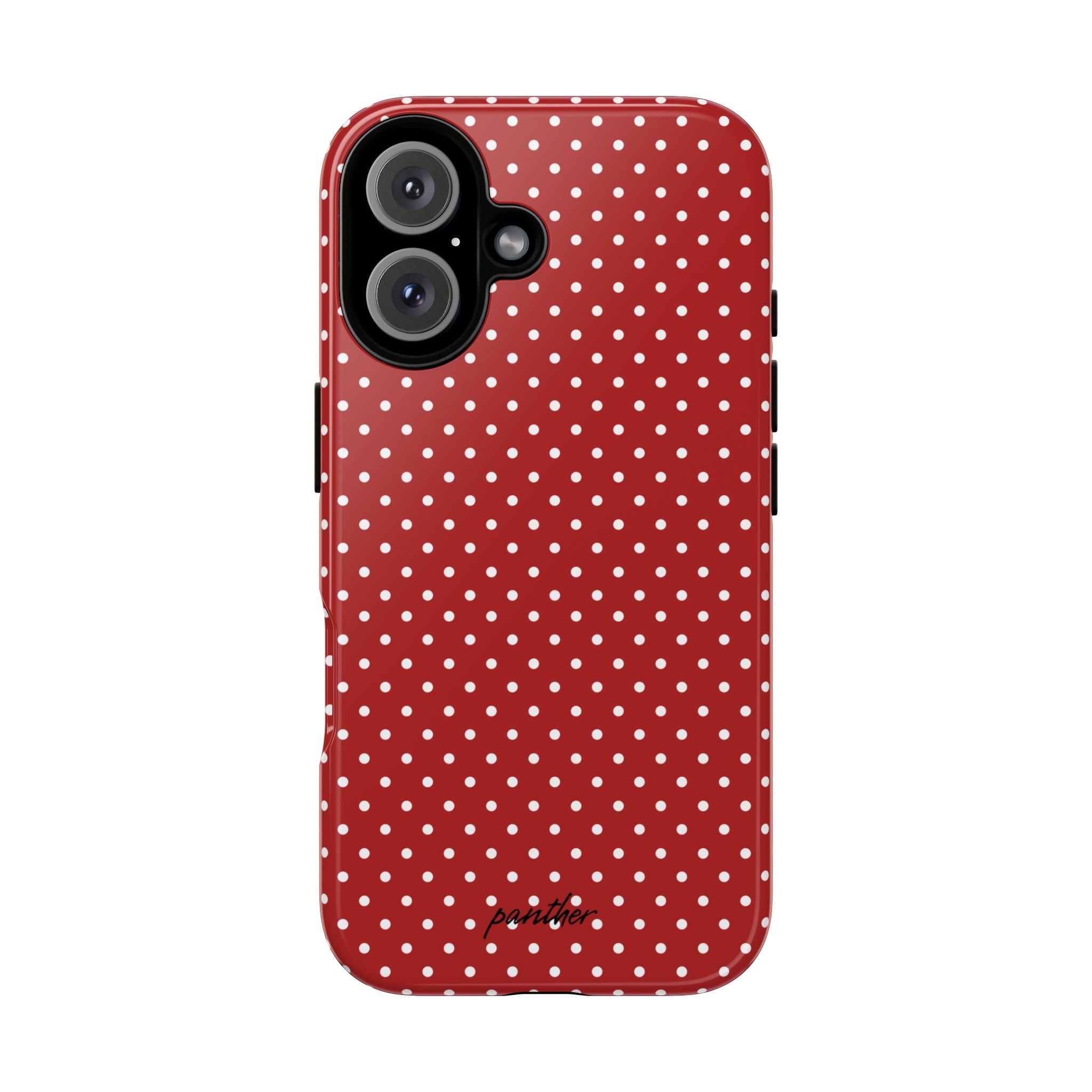 Ladybug V3