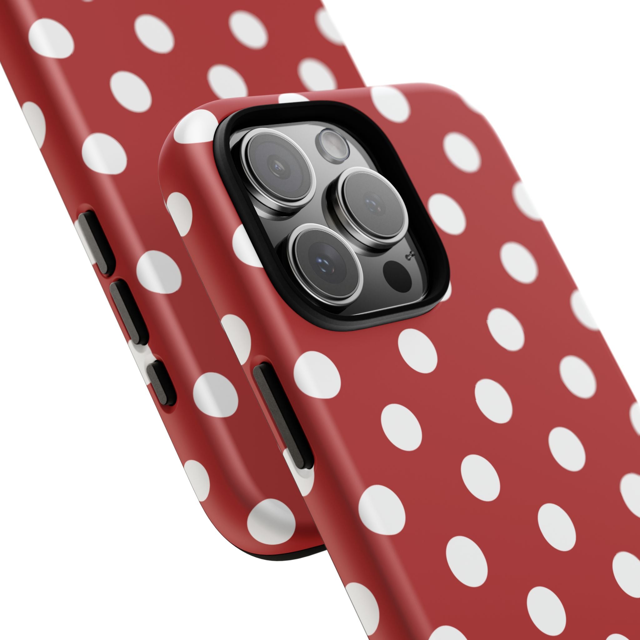 Ladybug V4