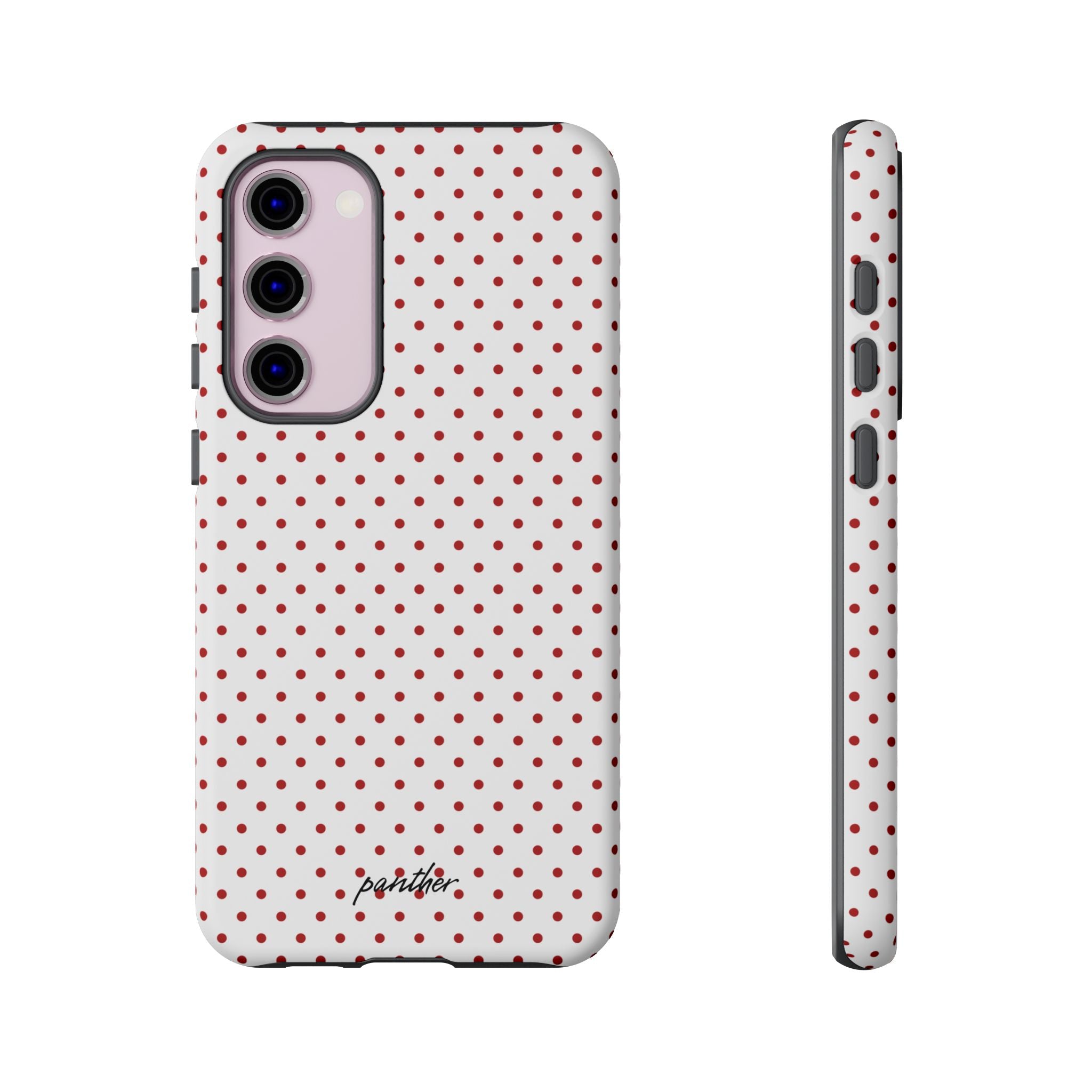 Ladybug V2