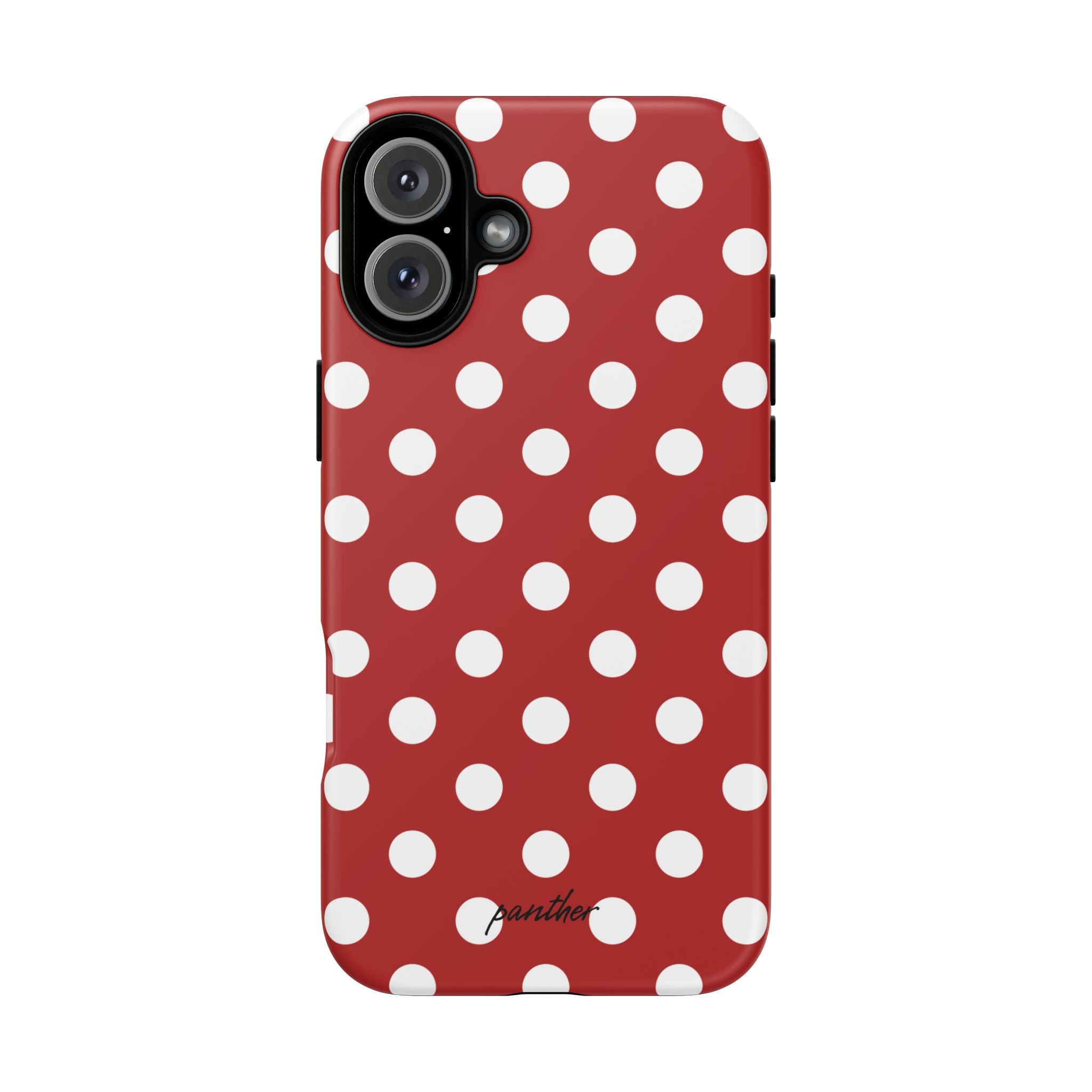 Ladybug V4