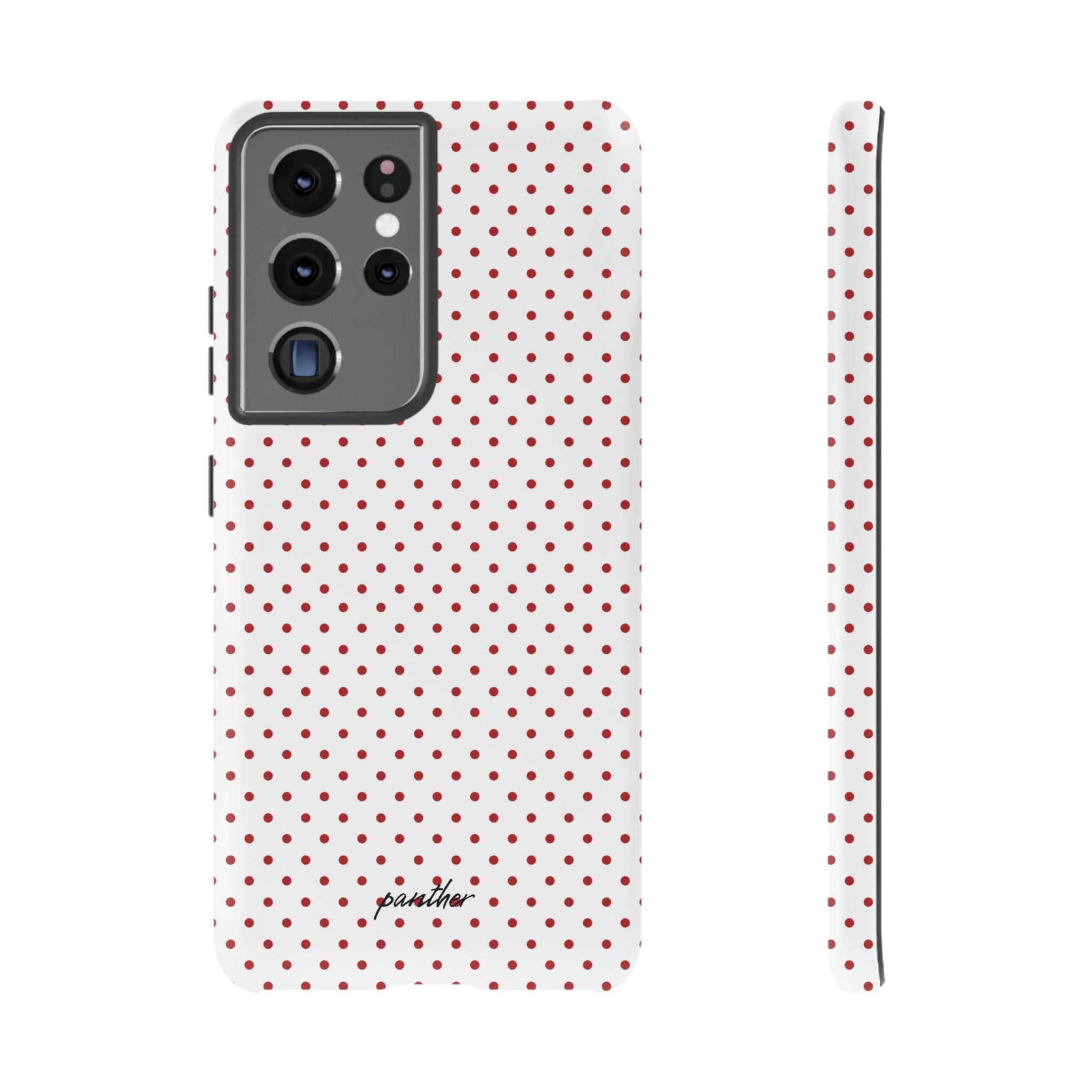 Ladybug V2