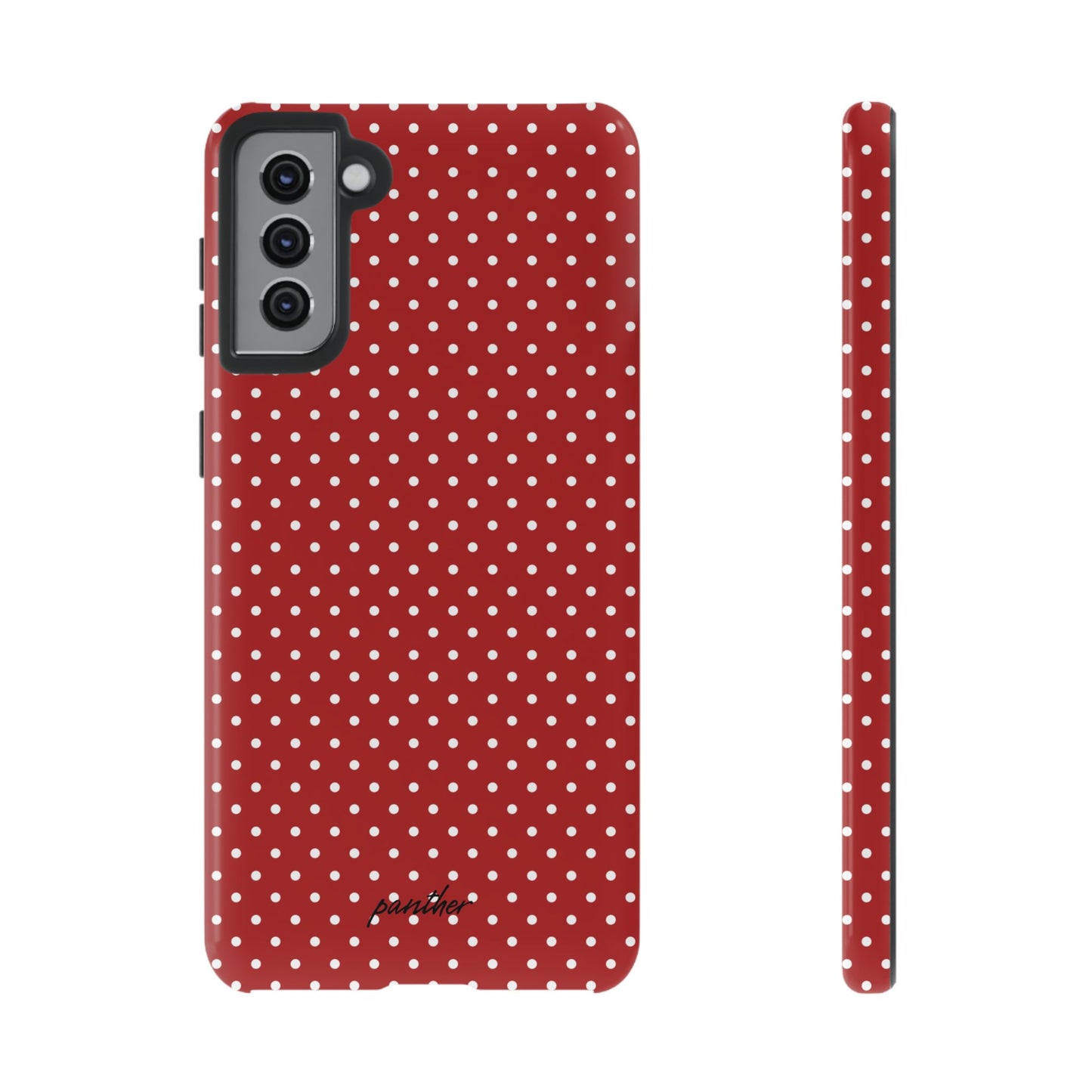 Ladybug V3