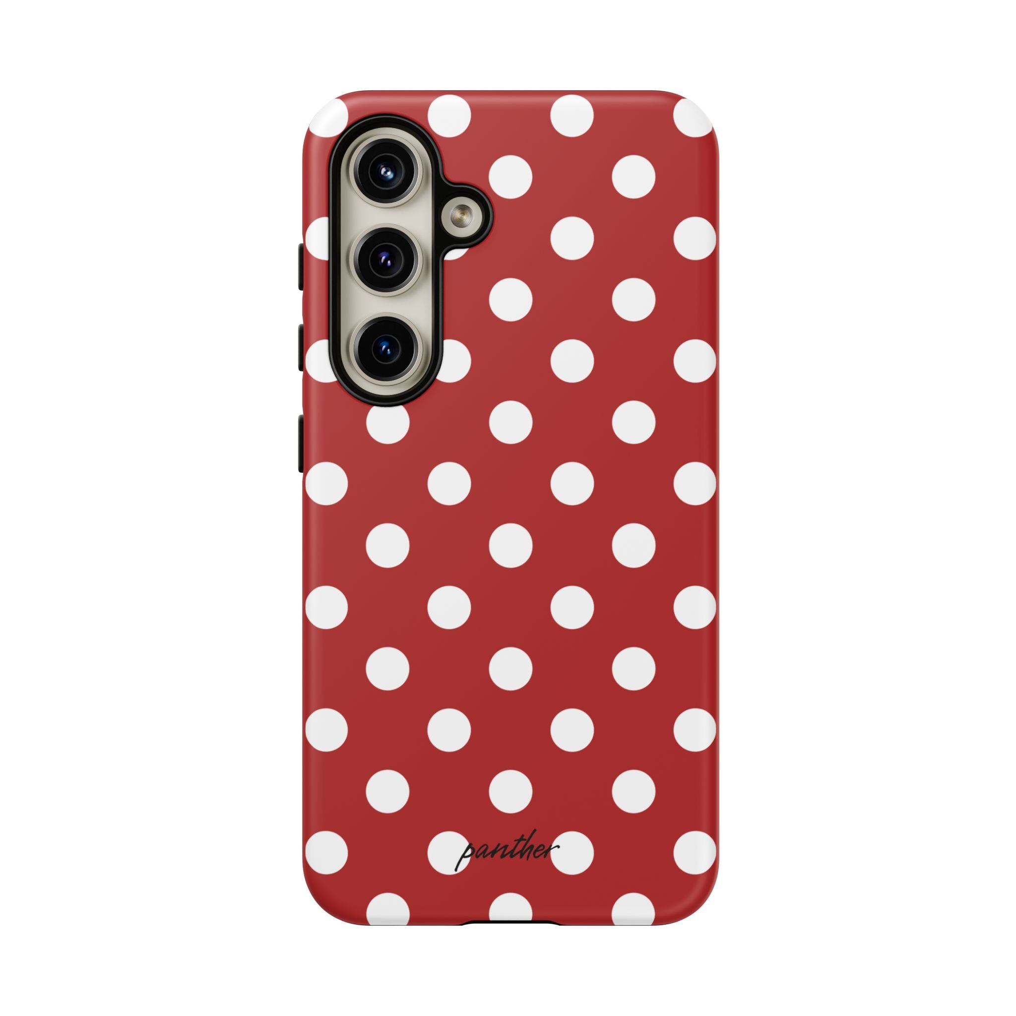 Ladybug V4