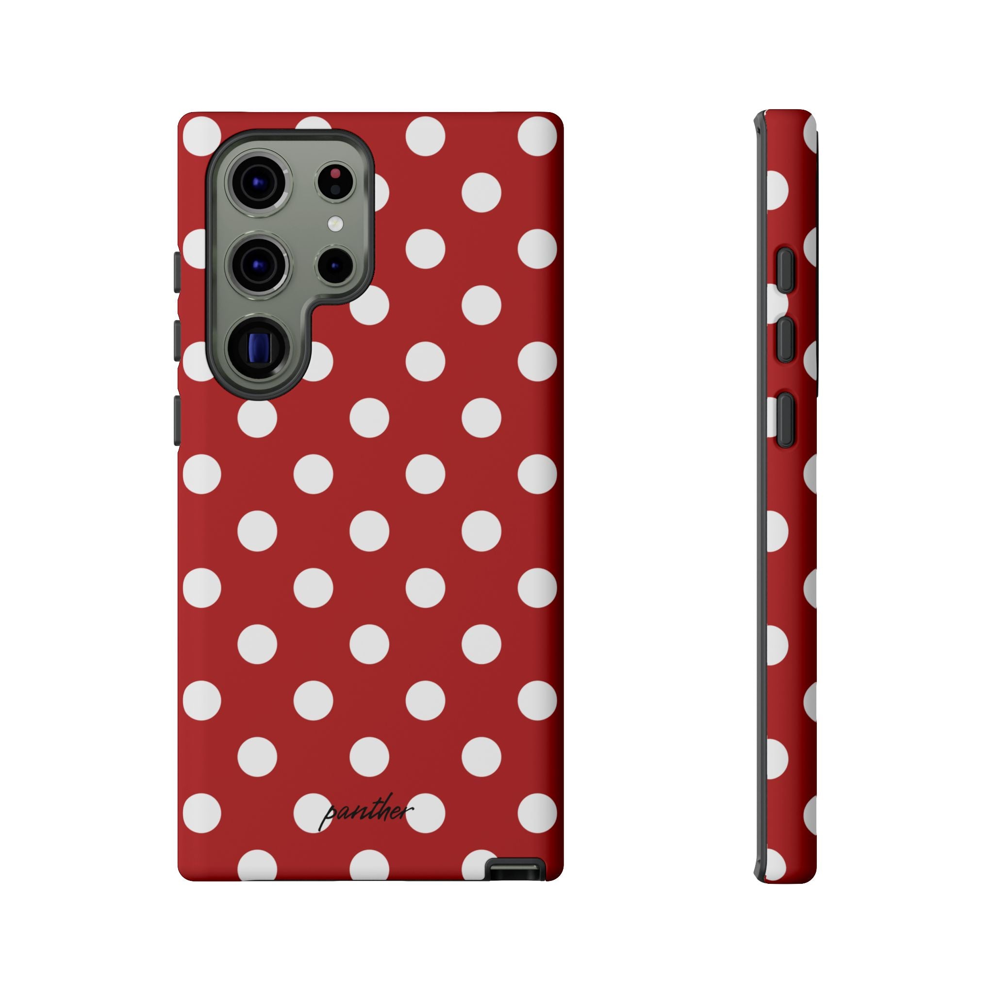 Ladybug V4