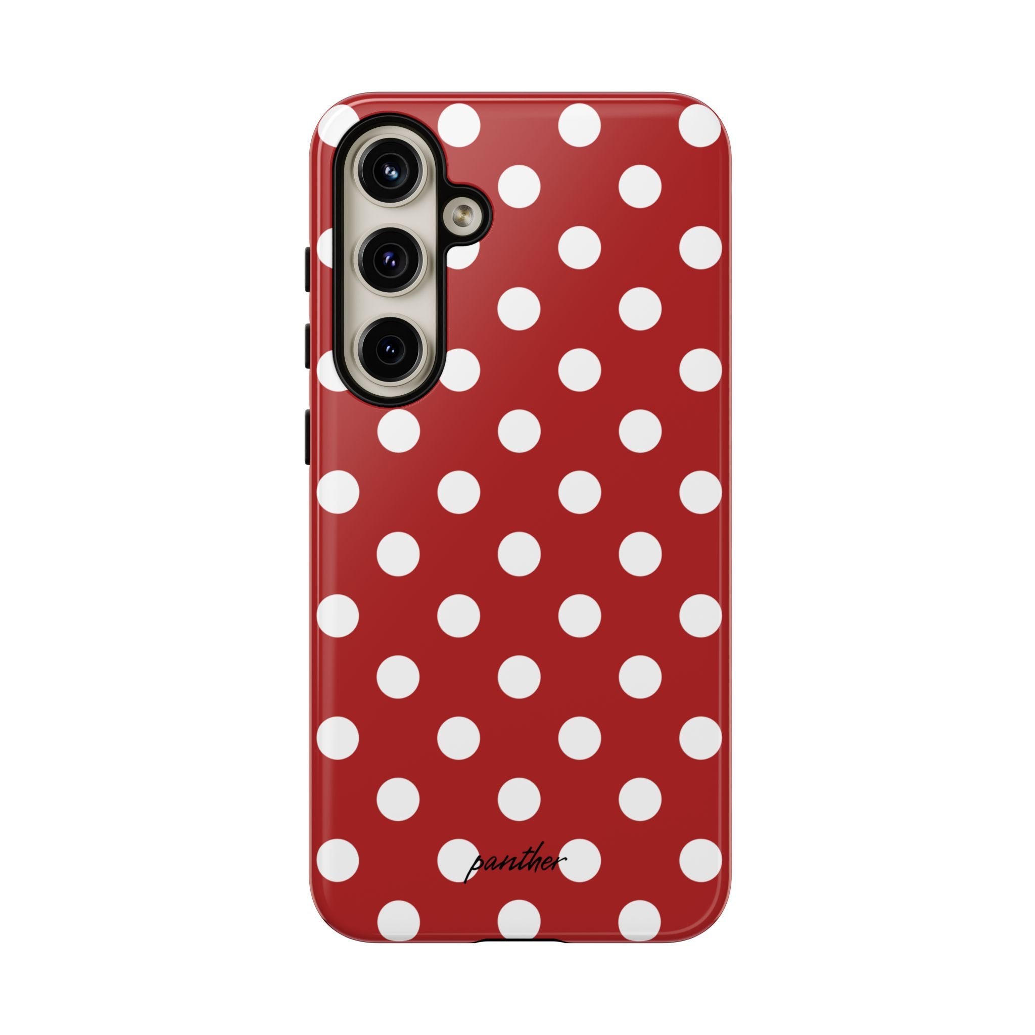 Ladybug V4