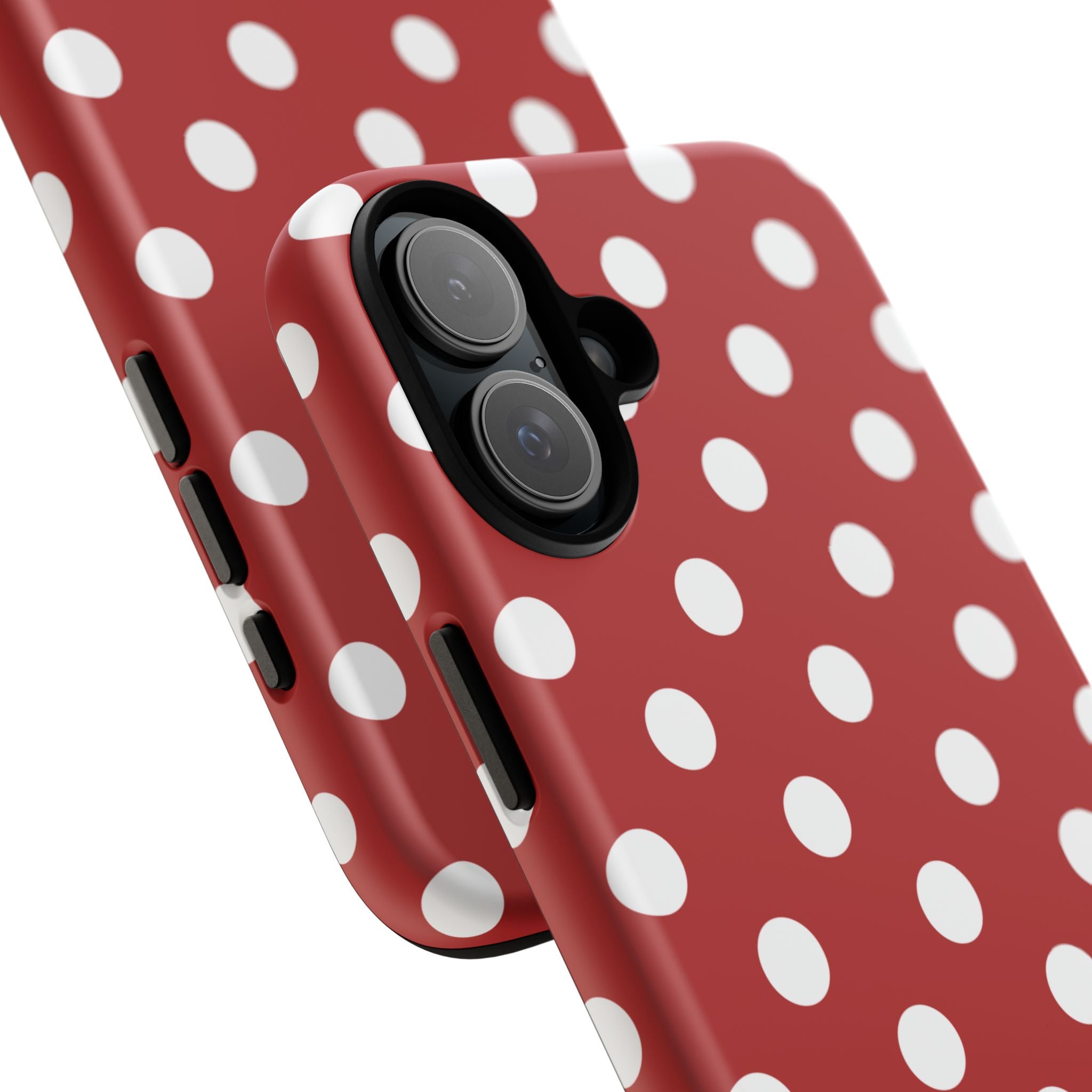 Ladybug V4