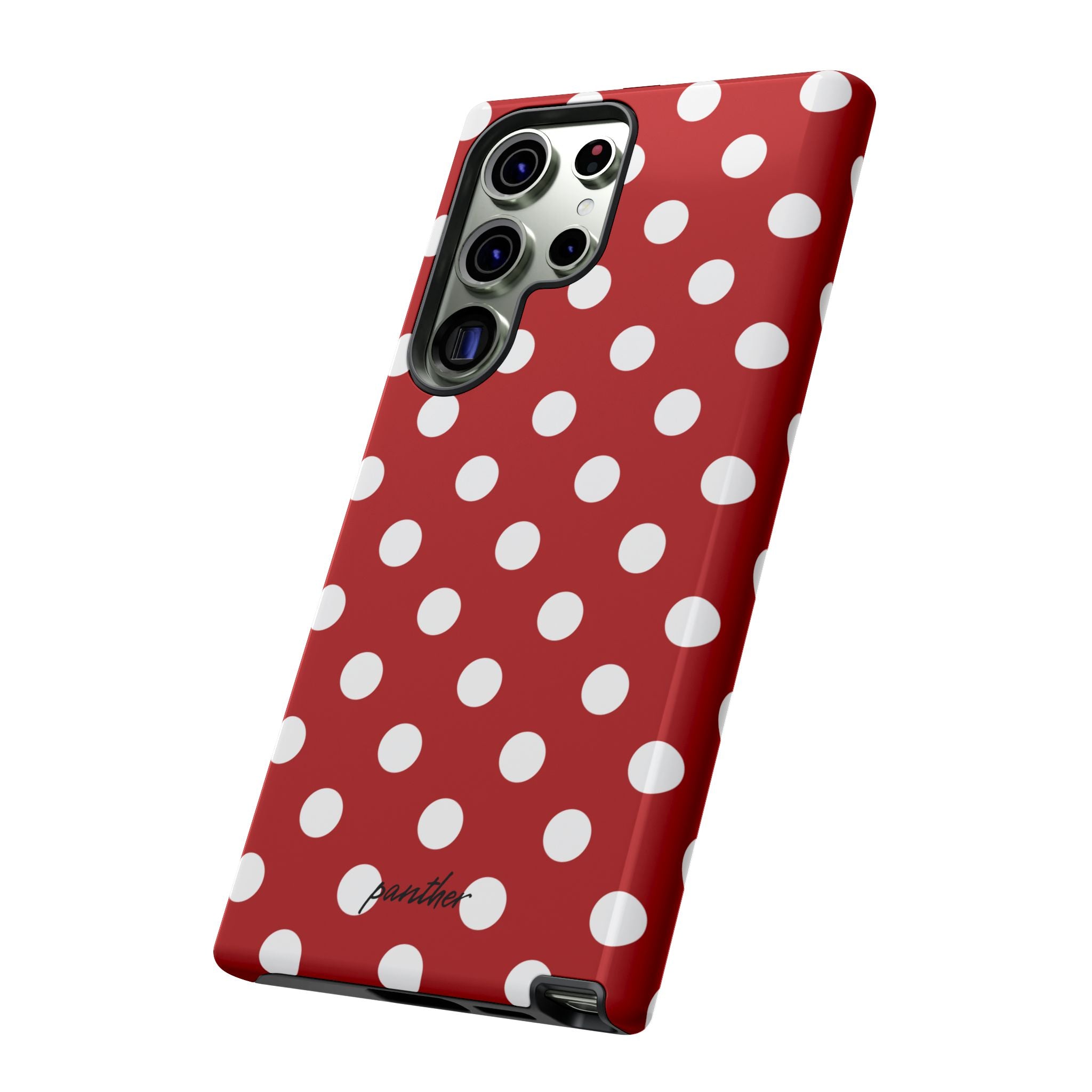 Ladybug V4