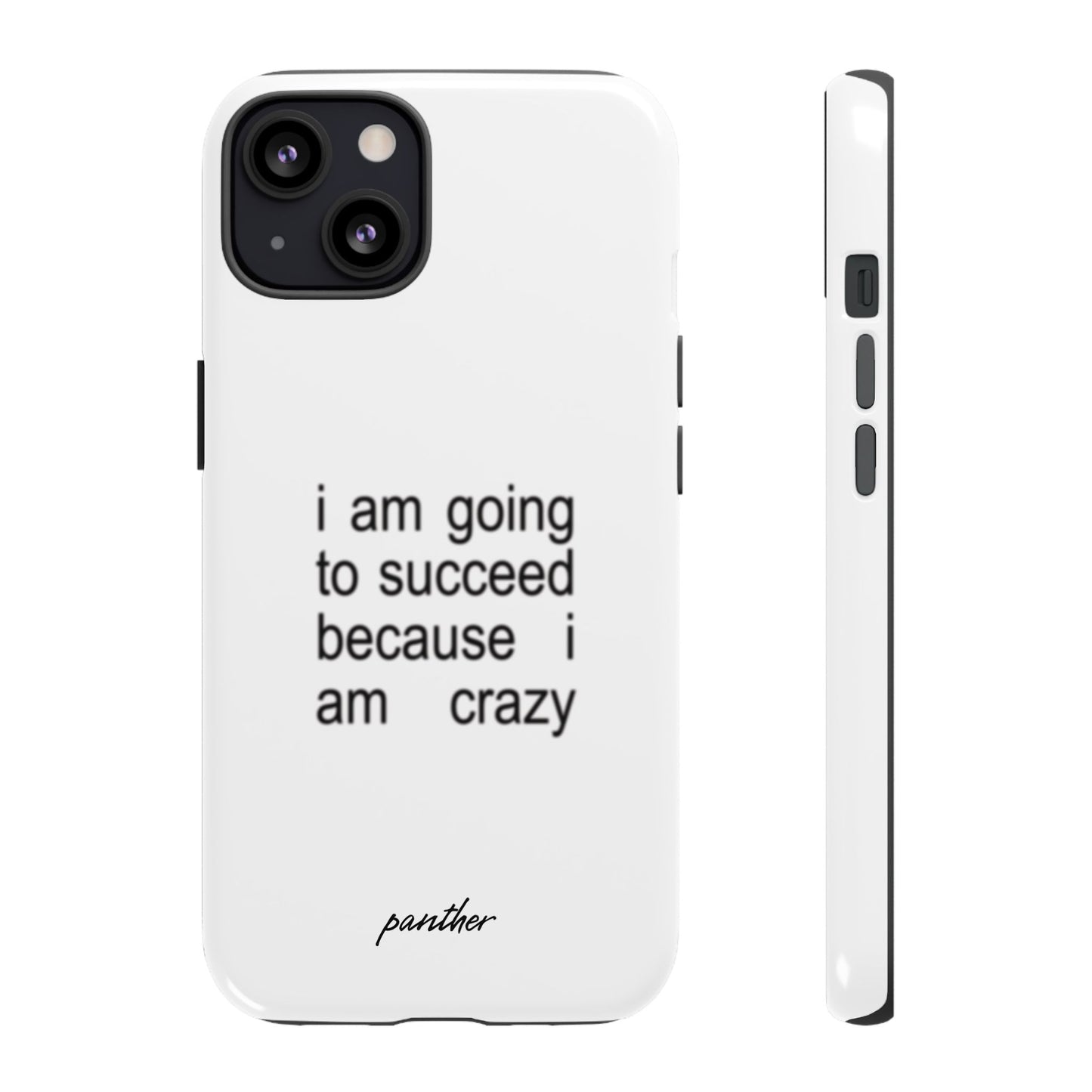I Am Going To Succeed Because I Am Crazy