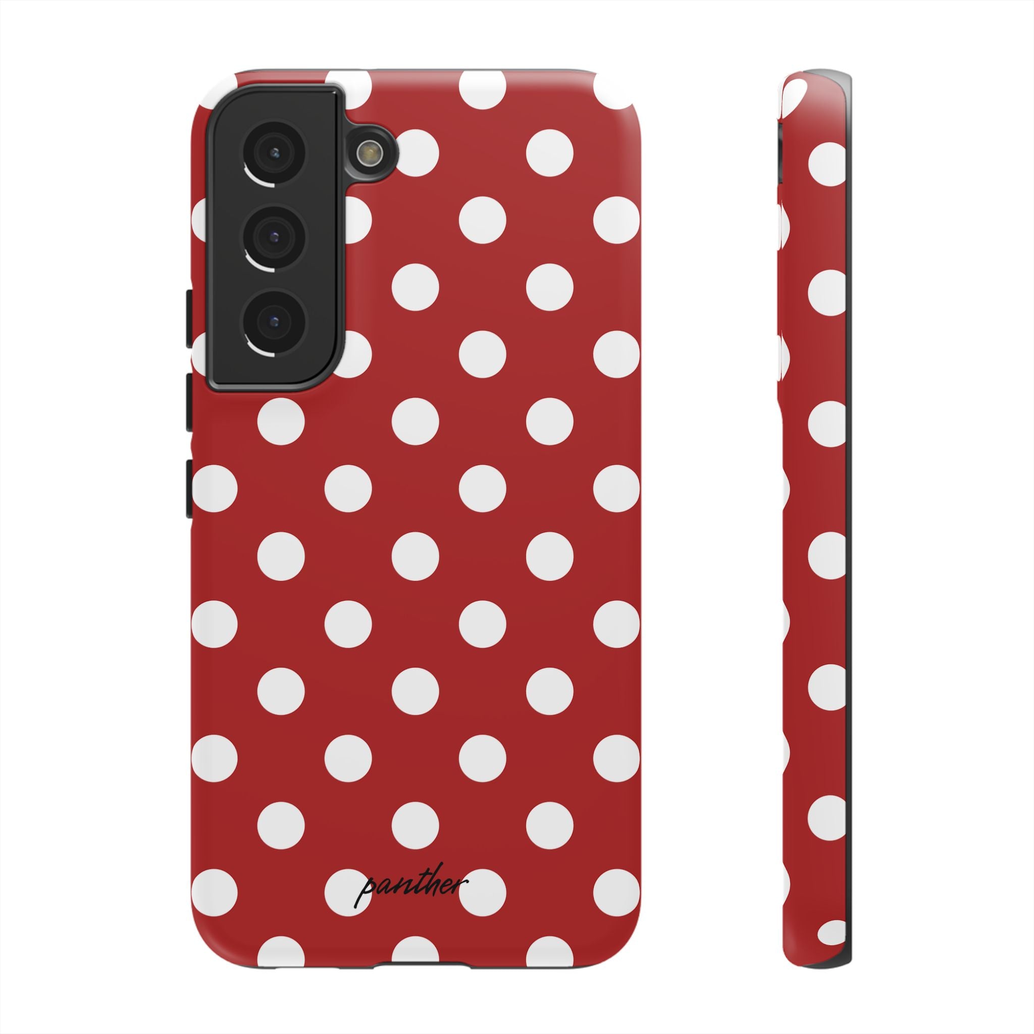 Ladybug V4
