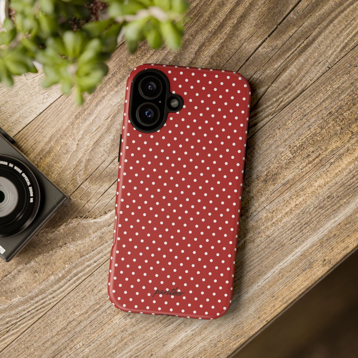 Ladybug V3