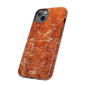 Reef