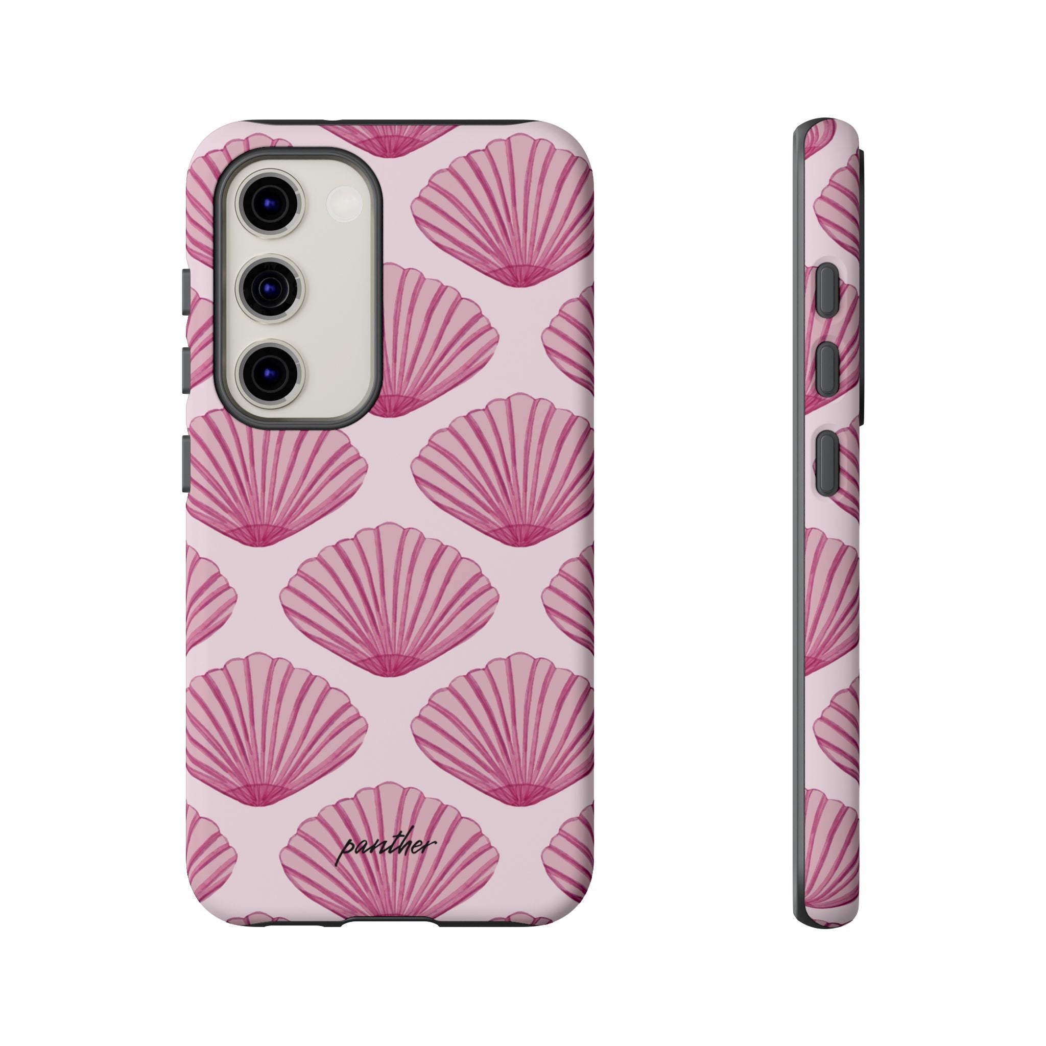 Coastal Shells