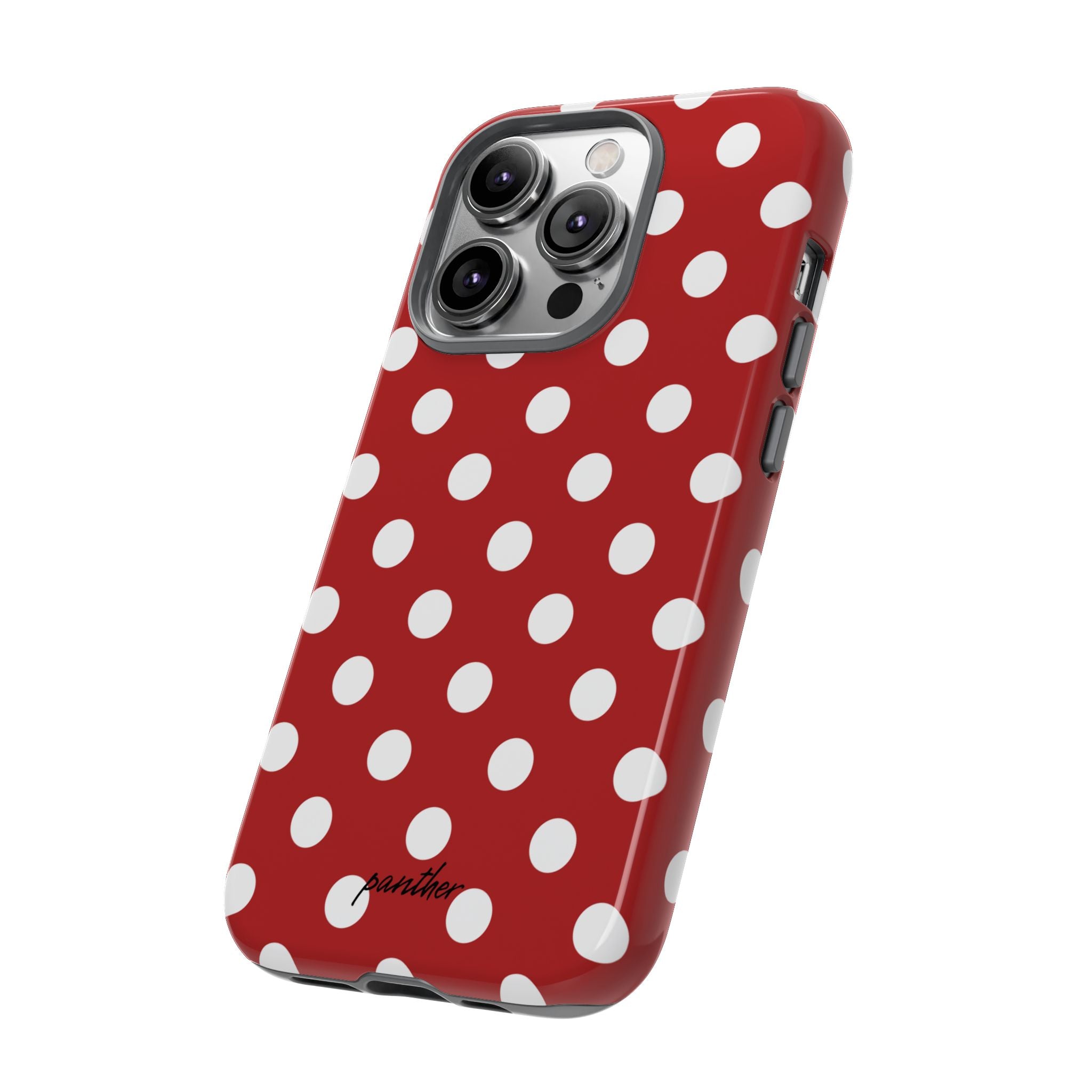 Ladybug V4