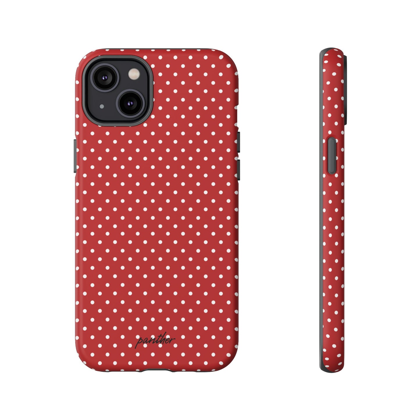 Ladybug V3
