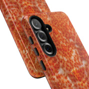 Reef