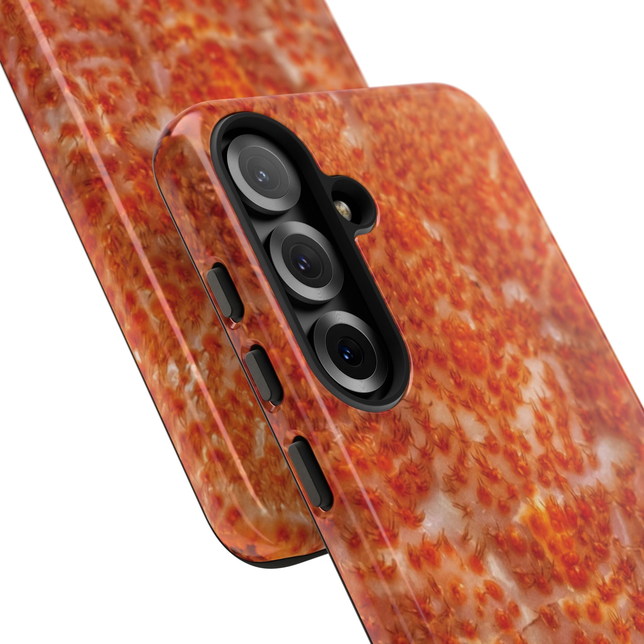 Reef