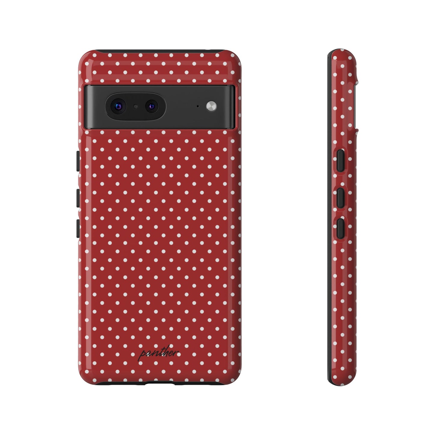 Ladybug V3