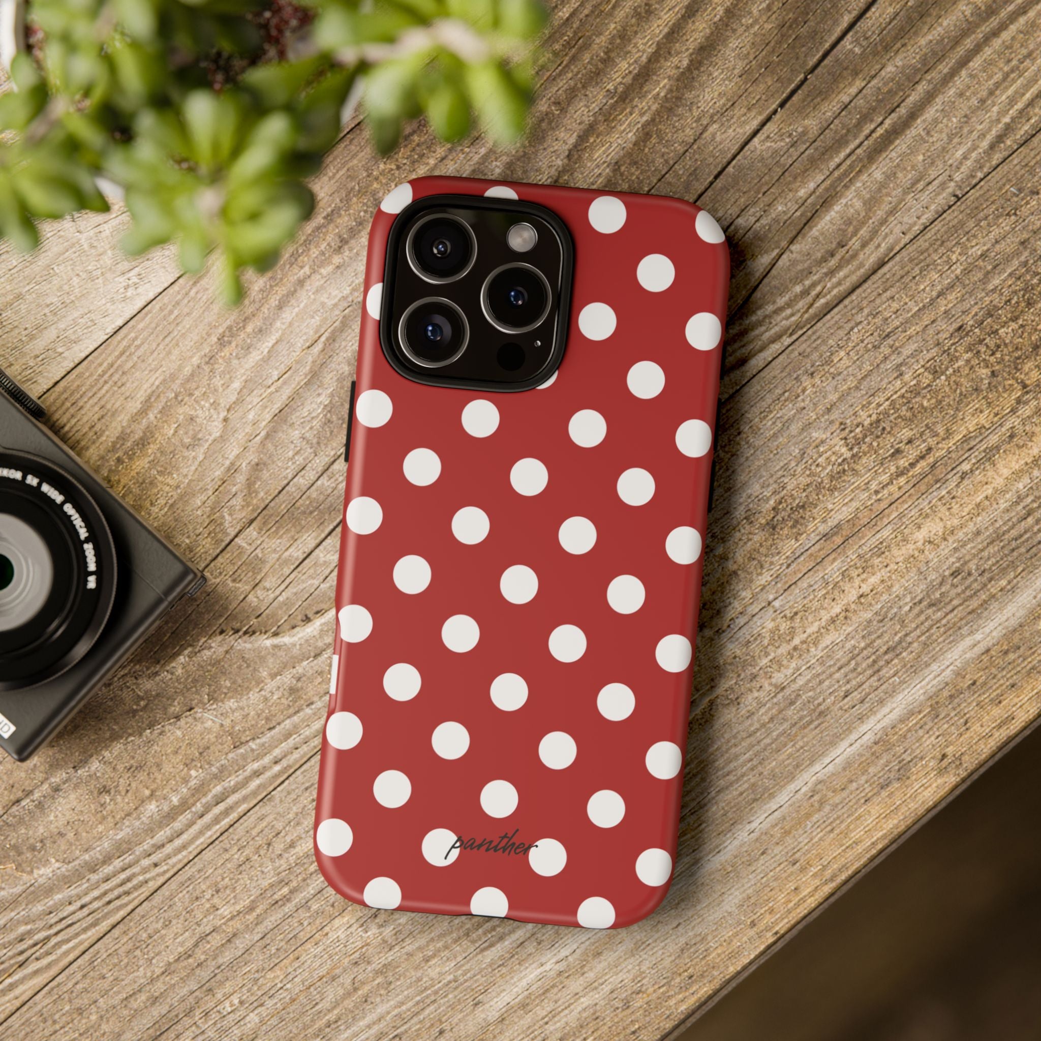 Ladybug V4