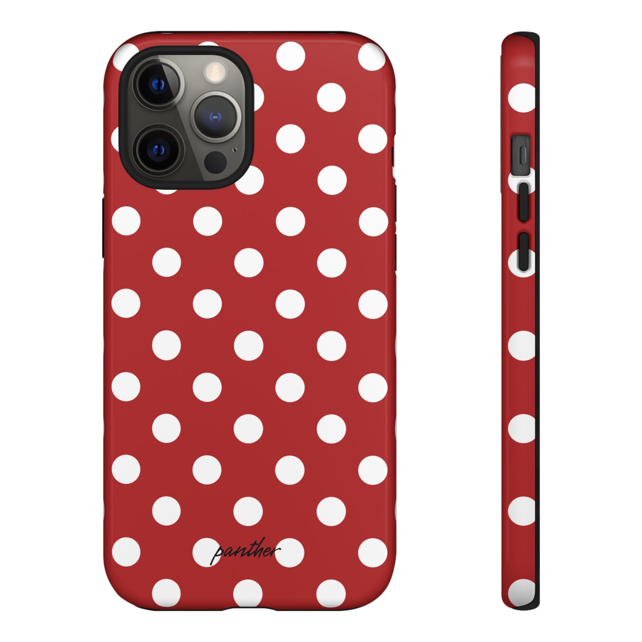 Ladybug V4