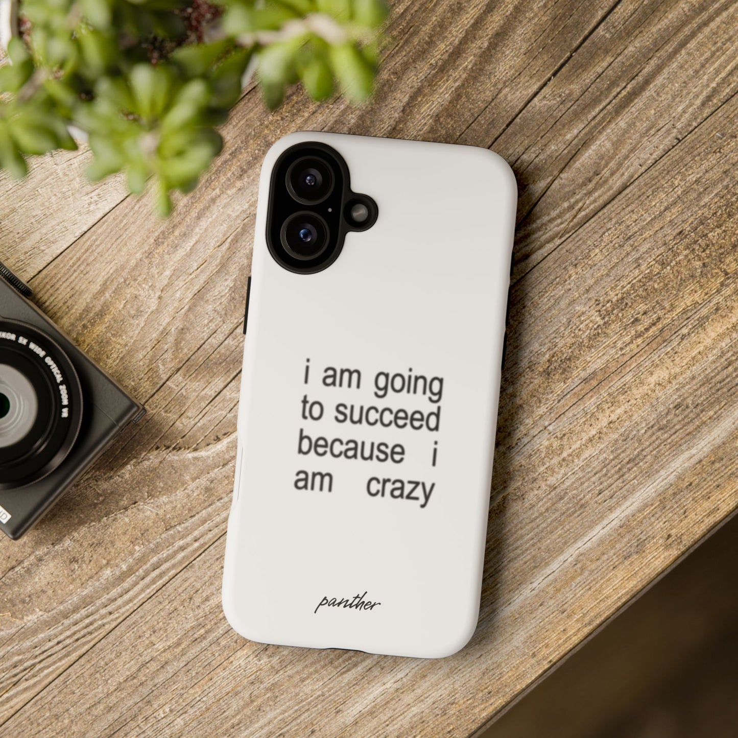 I Am Going To Succeed Because I Am Crazy