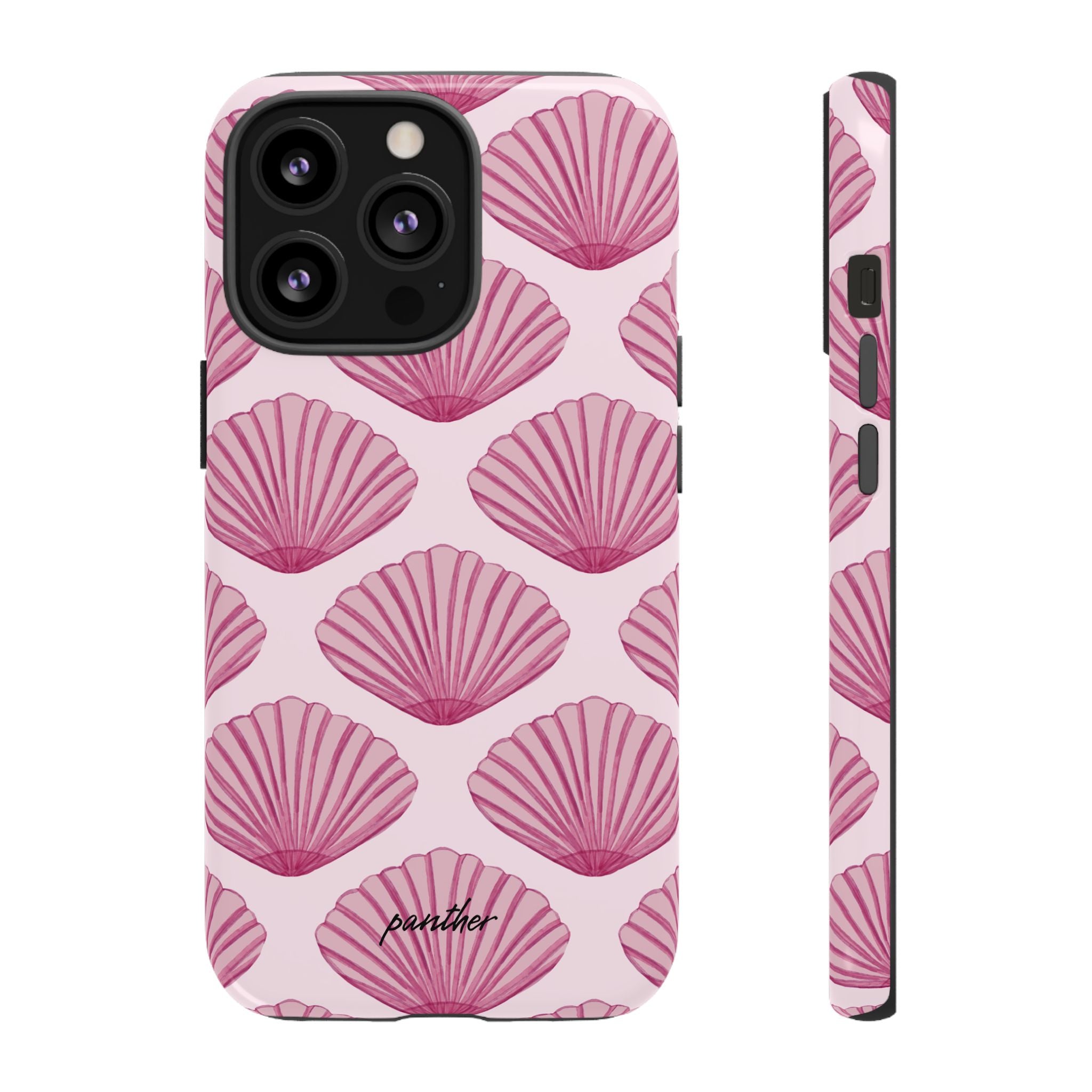 Coastal Shells