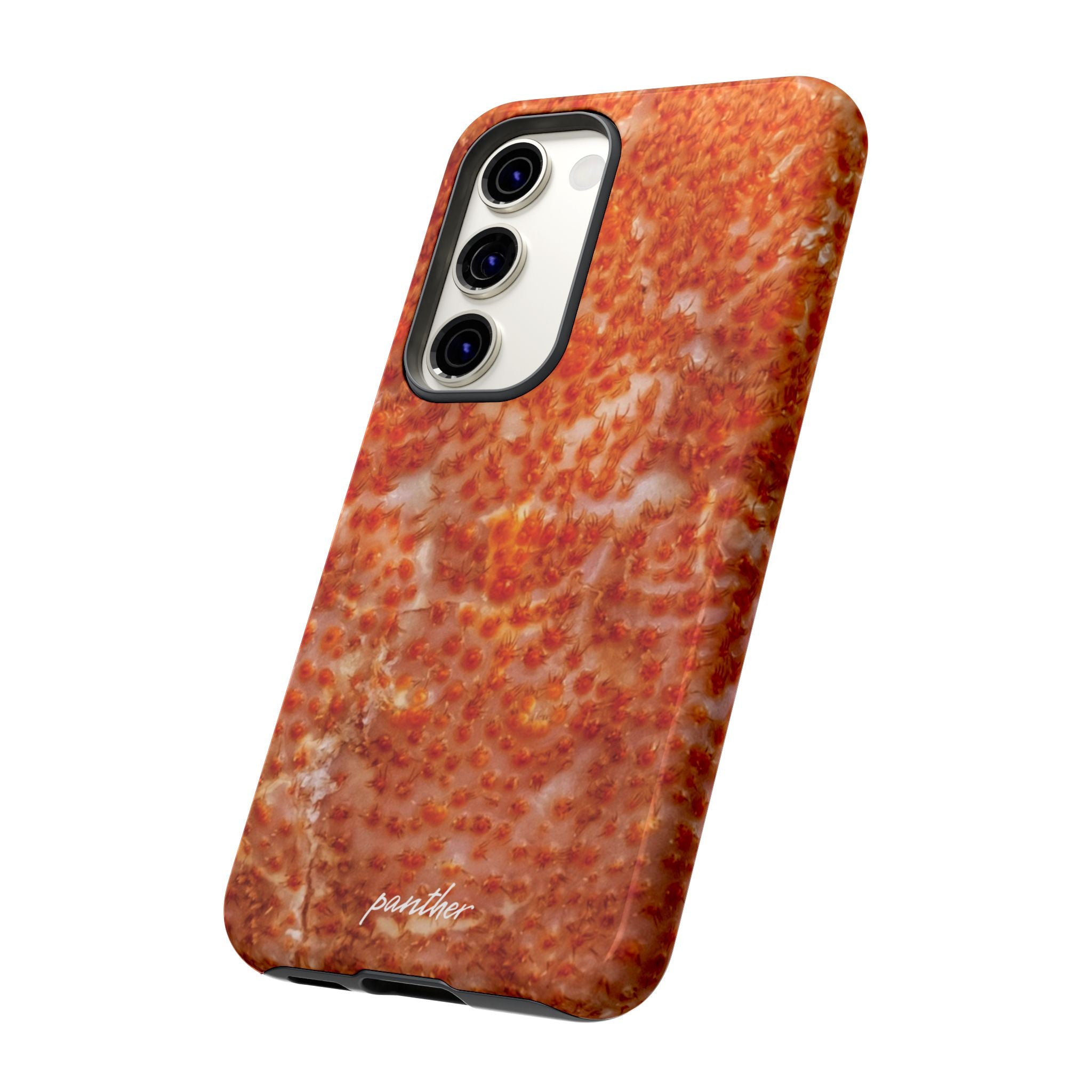 Reef
