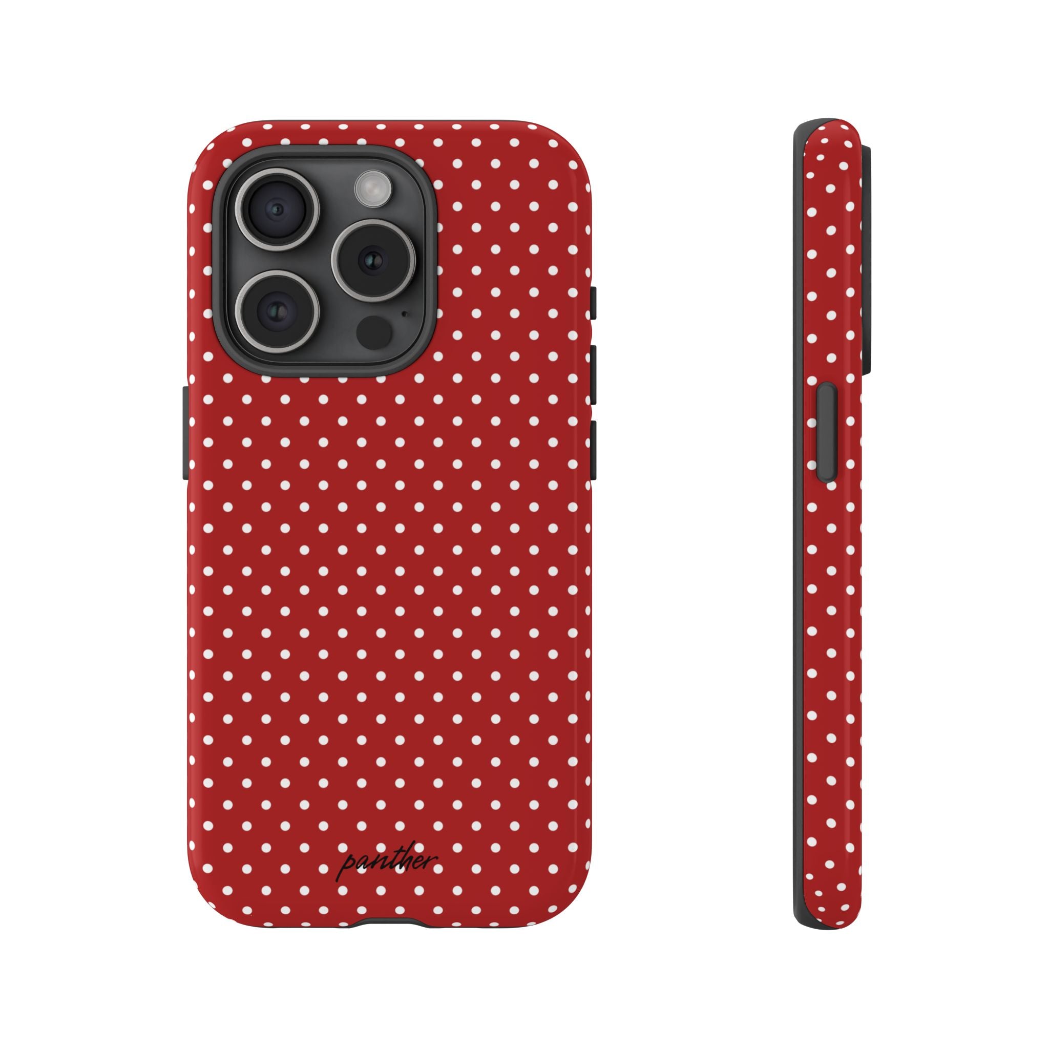 Ladybug V3