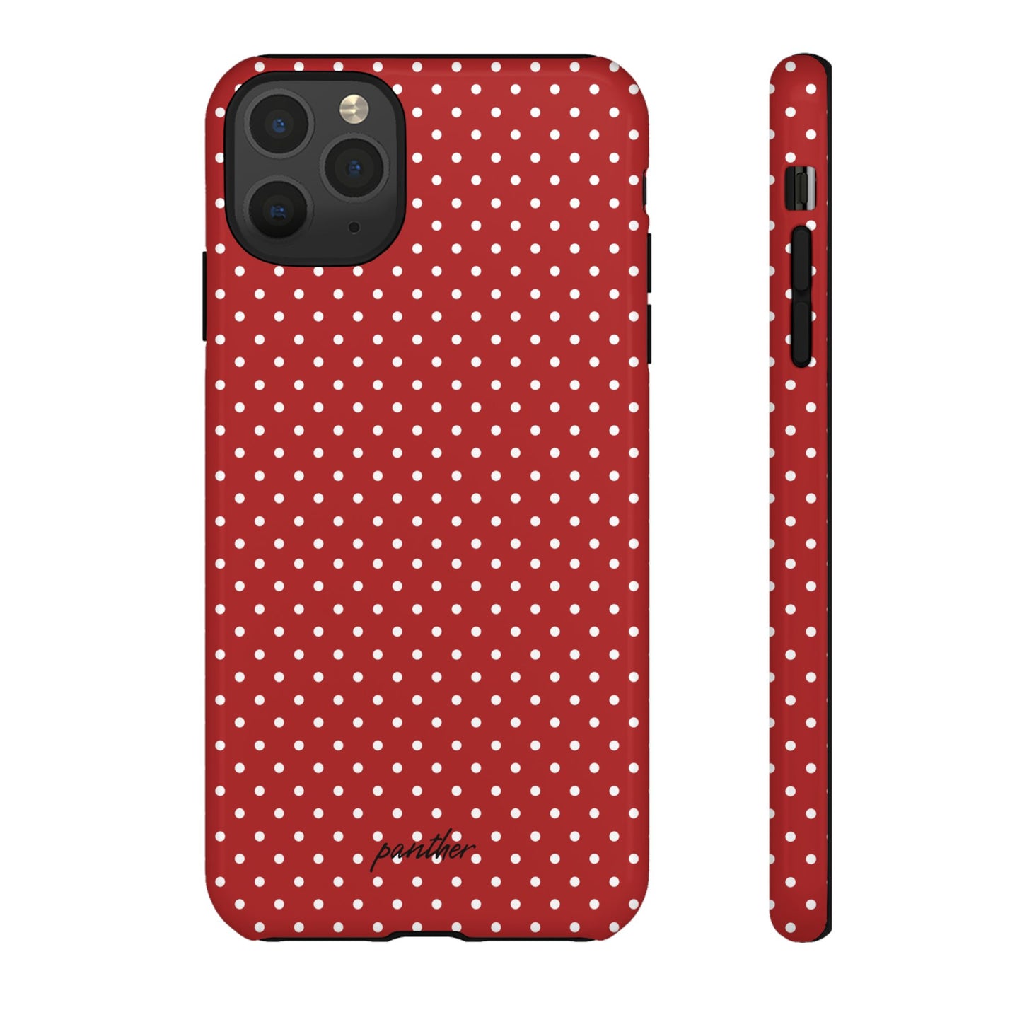 Ladybug V3